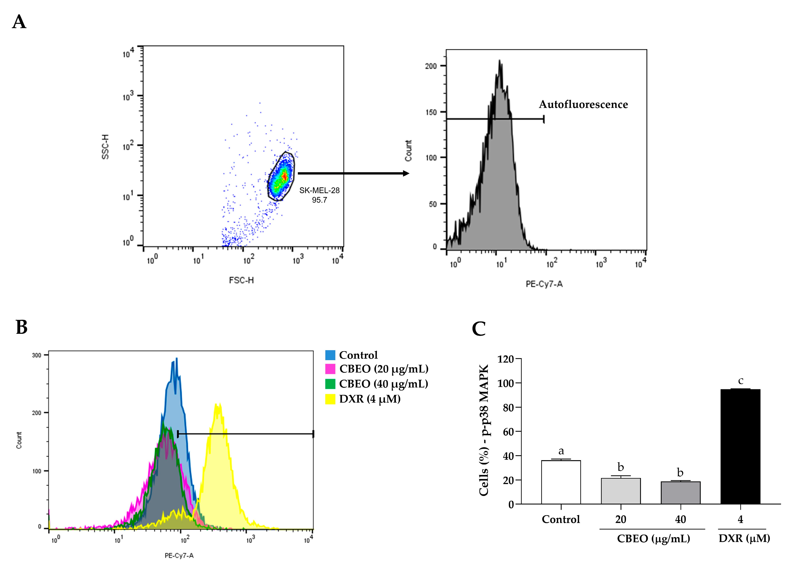 Pharmaceuticals 16 01553 g009