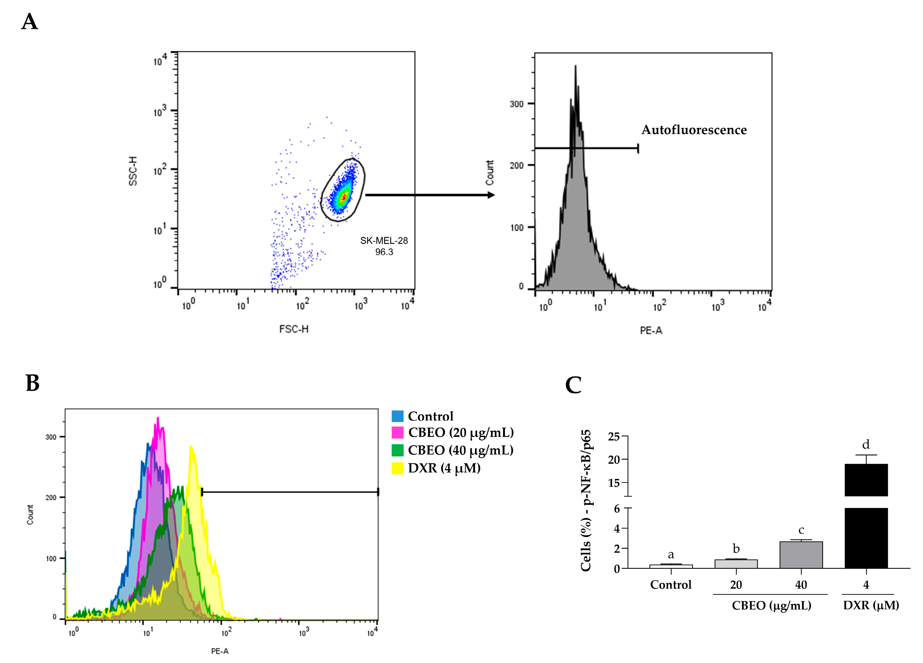 Pharmaceuticals 16 01553 g011