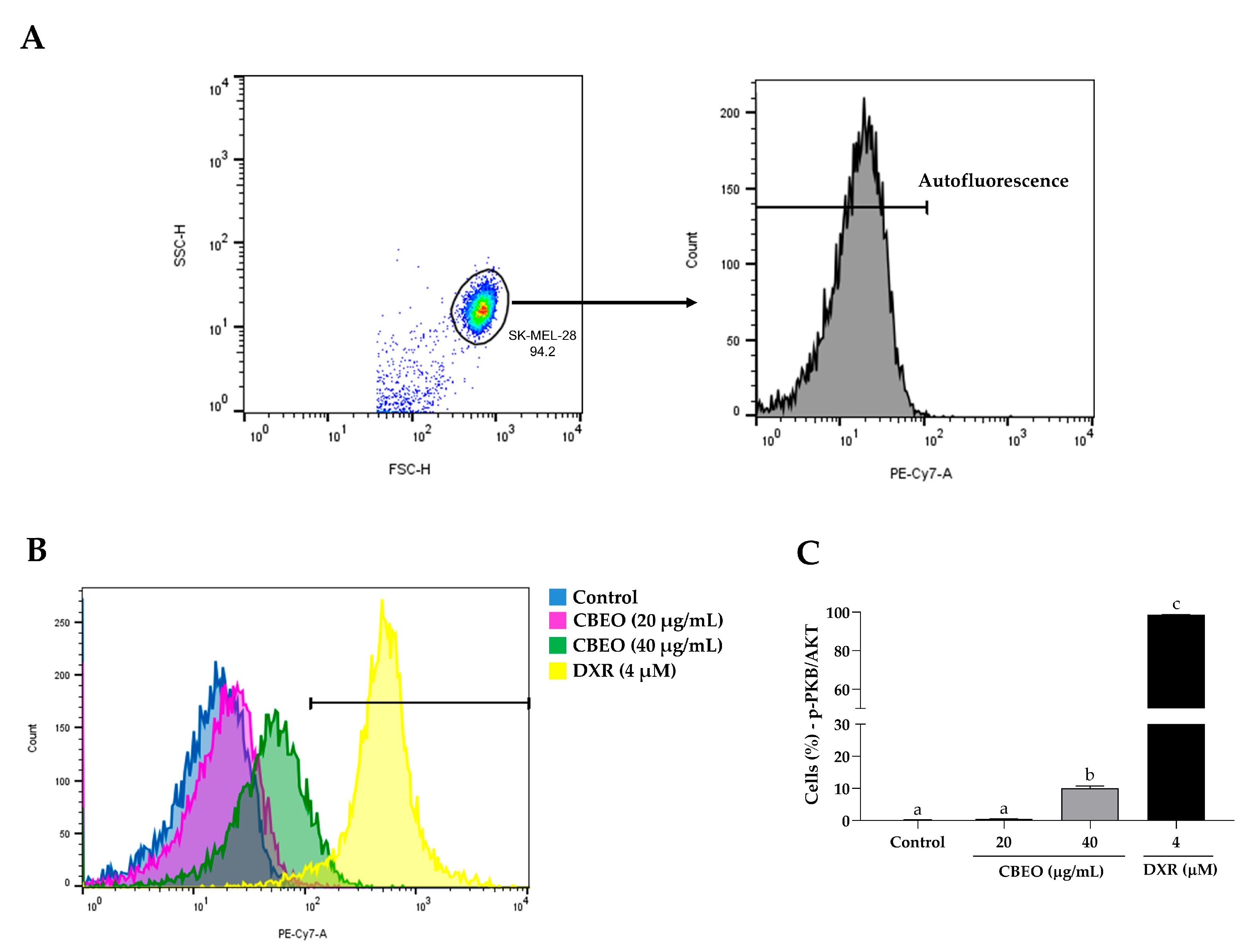 Pharmaceuticals 16 01553 g012