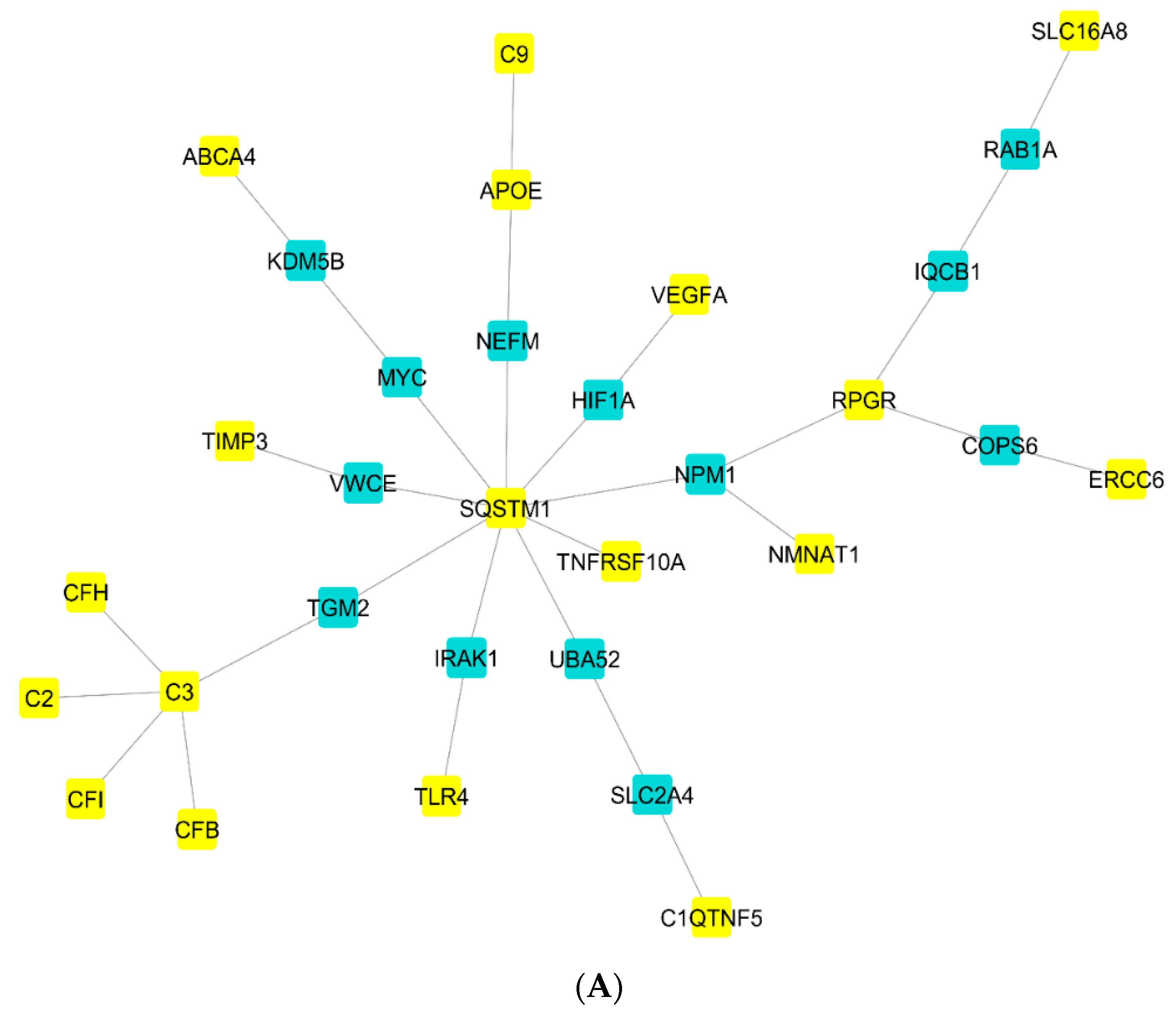 Pharmaceuticals 16 01555 g002a Pharmaceuticals 16 01555 g002a