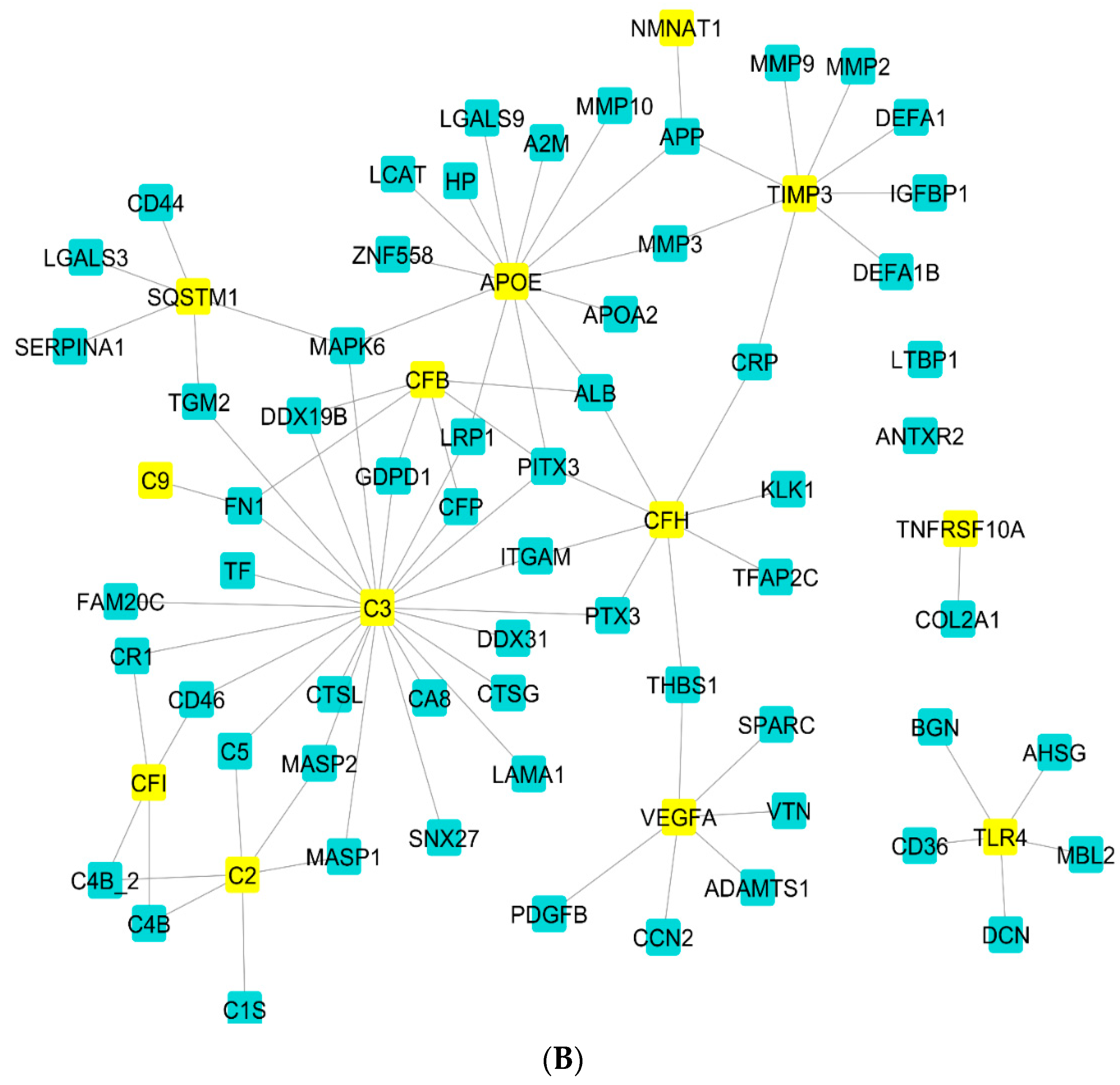 Pharmaceuticals 16 01555 g002b Pharmaceuticals 16 01555 g002b