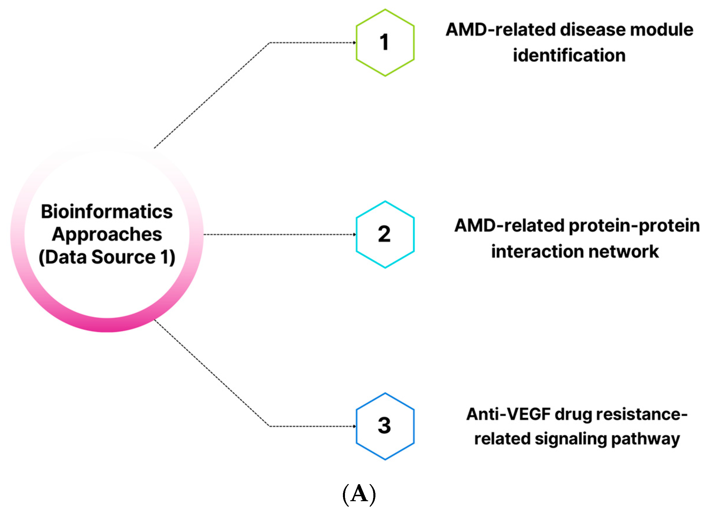 Pharmaceuticals 16 01555 g008a Pharmaceuticals 16 01555 g008a