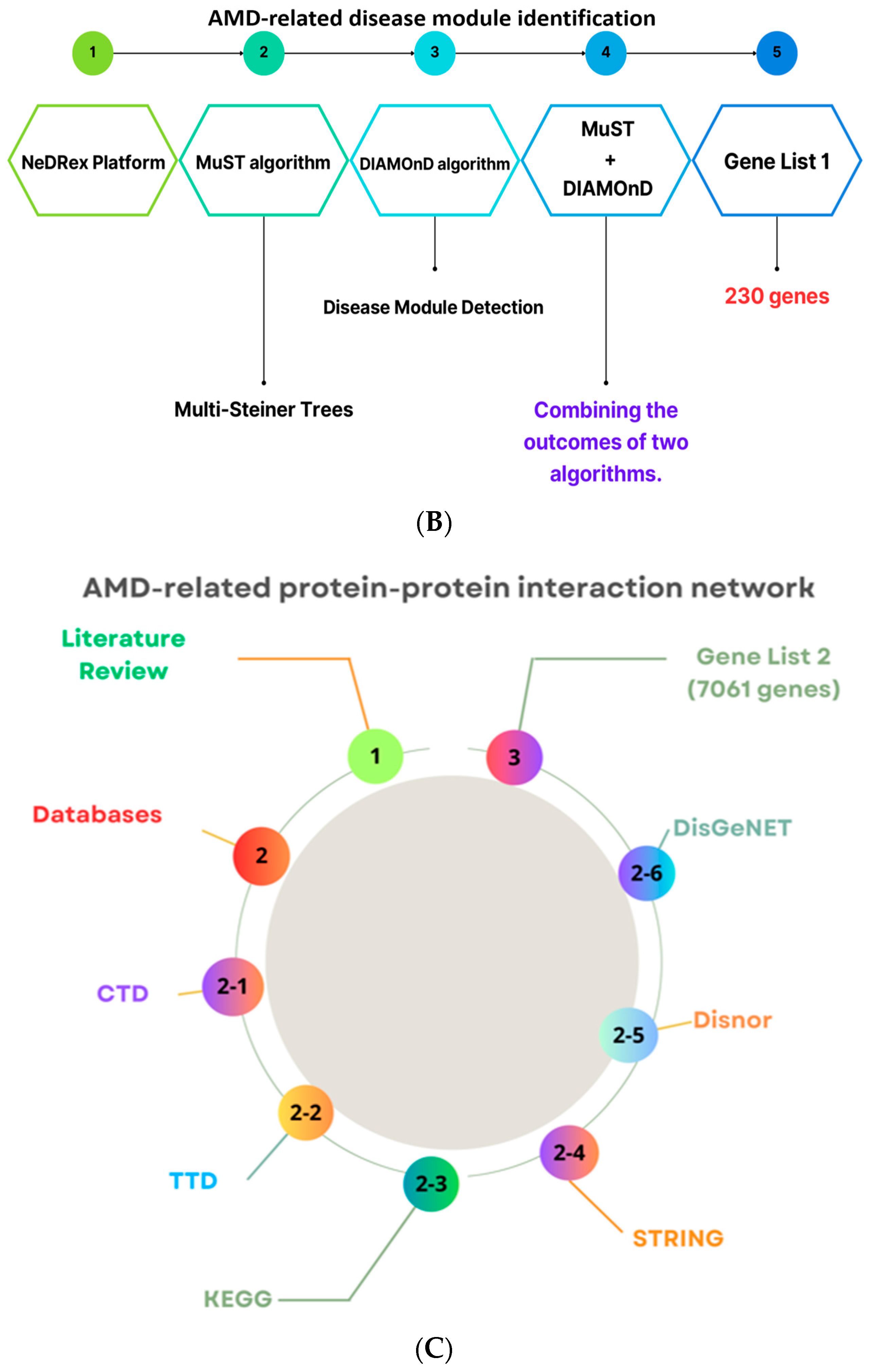 Pharmaceuticals 16 01555 g008b Pharmaceuticals 16 01555 g008b