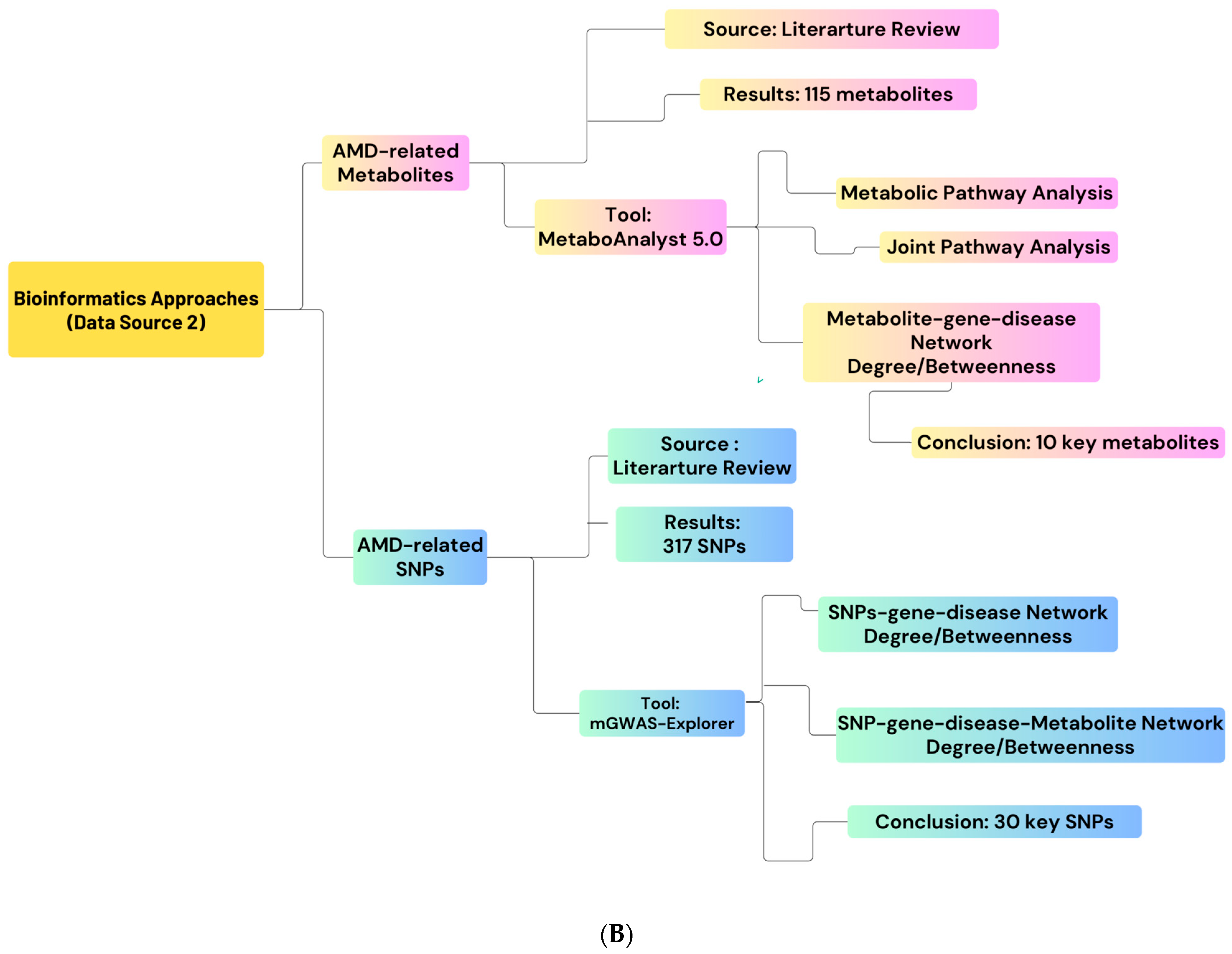 Pharmaceuticals 16 01555 g010b Pharmaceuticals 16 01555 g010b