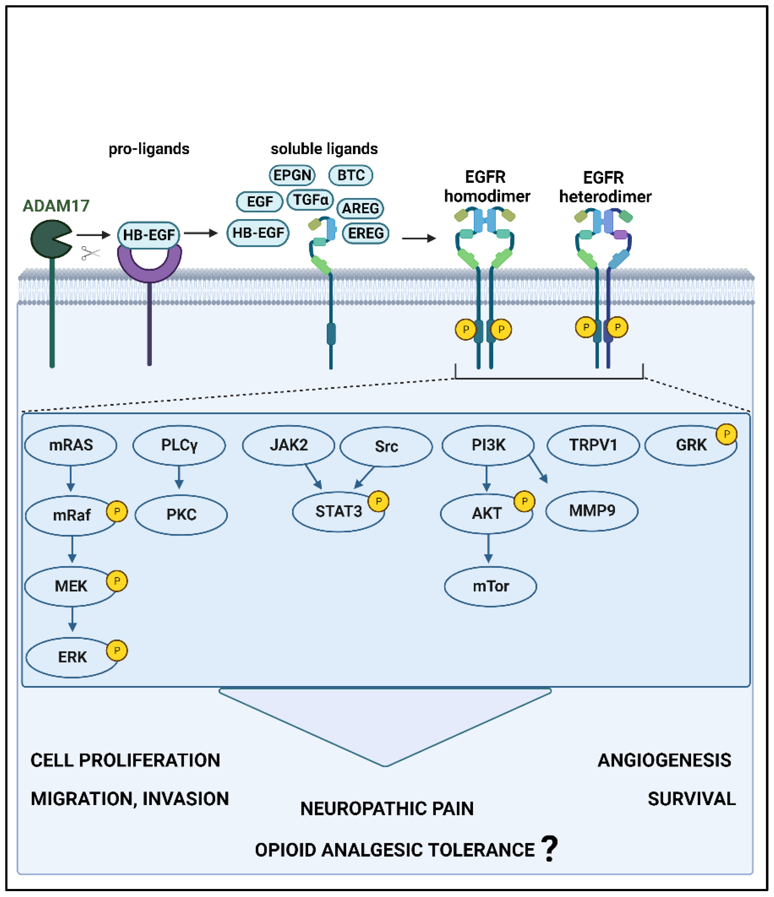 Pharmaceuticals 16 01558 g001 Pharmaceuticals 16 01558 g001