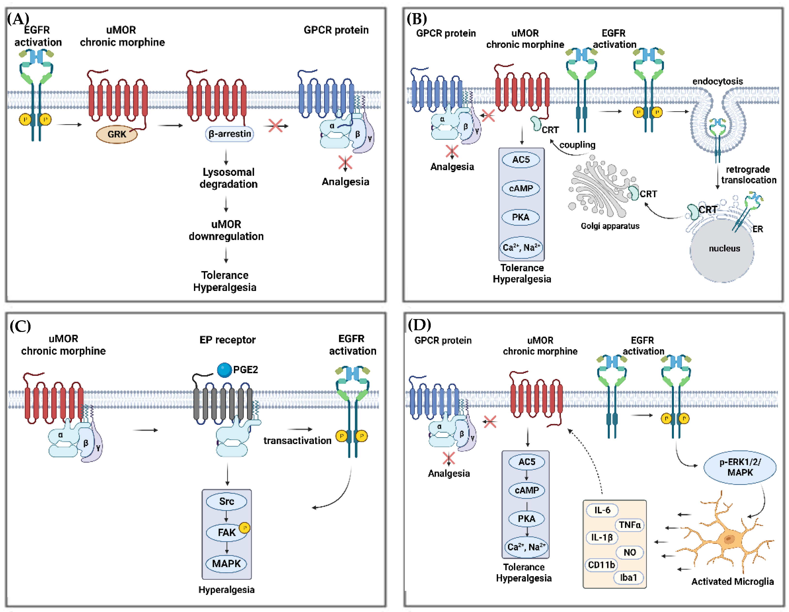 Pharmaceuticals 16 01558 g002 Pharmaceuticals 16 01558 g002