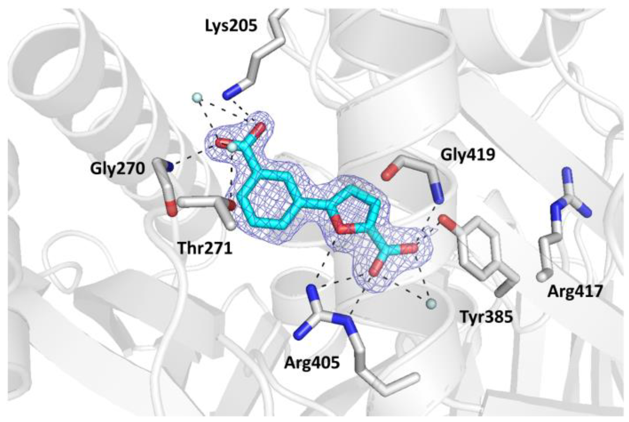 Pharmaceuticals 16 01559 g003