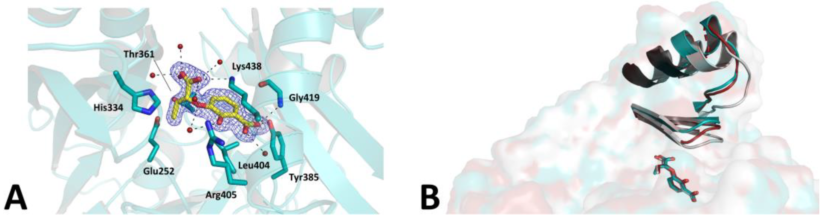 Pharmaceuticals 16 01559 g005