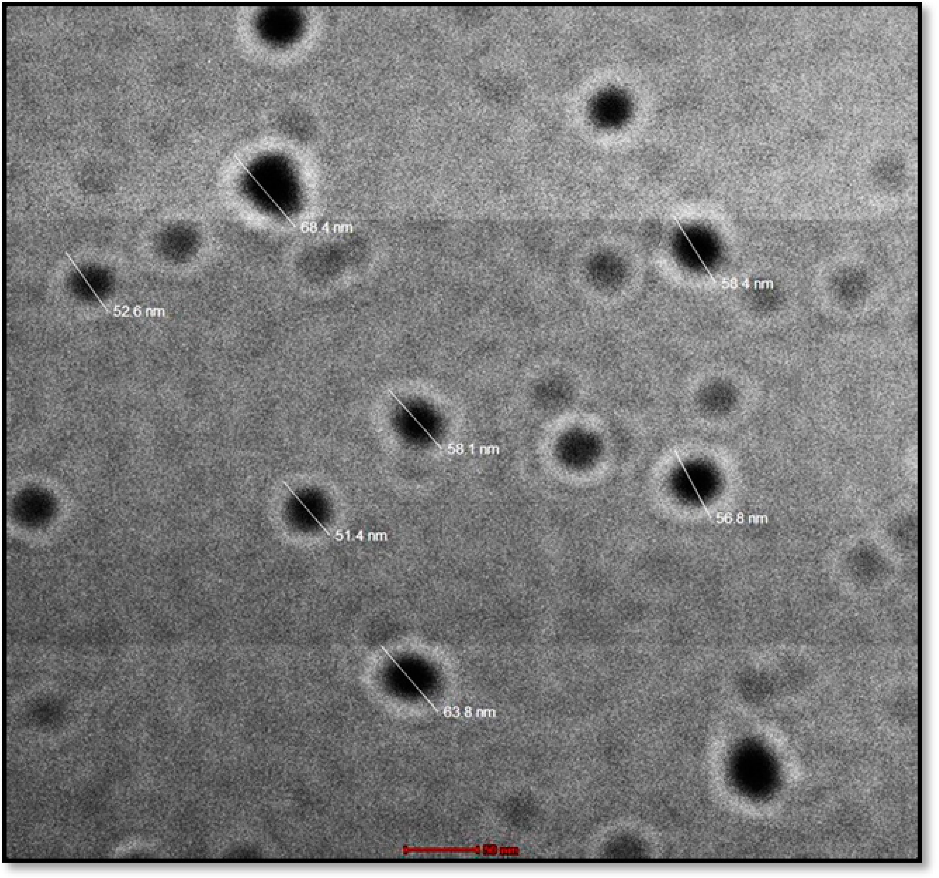 Pharmaceuticals 16 01561 g005