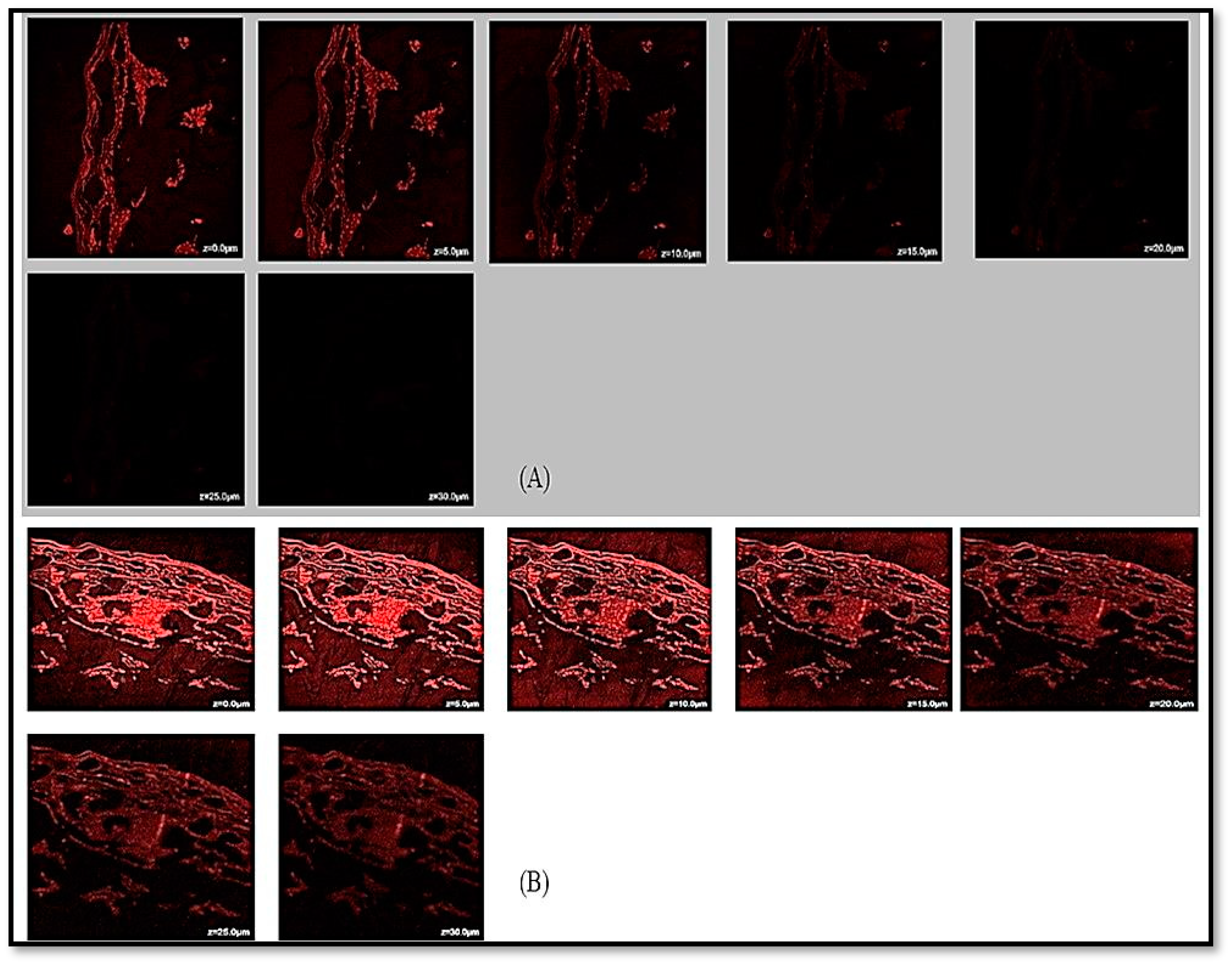 Pharmaceuticals 16 01561 g007