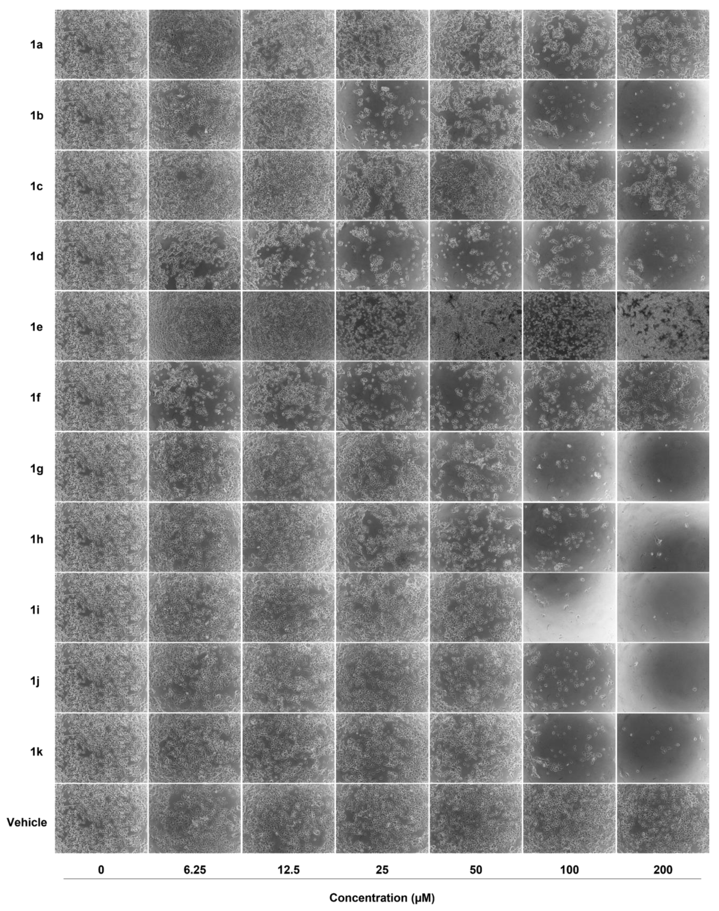 Pharmaceuticals 16 01562 g002
