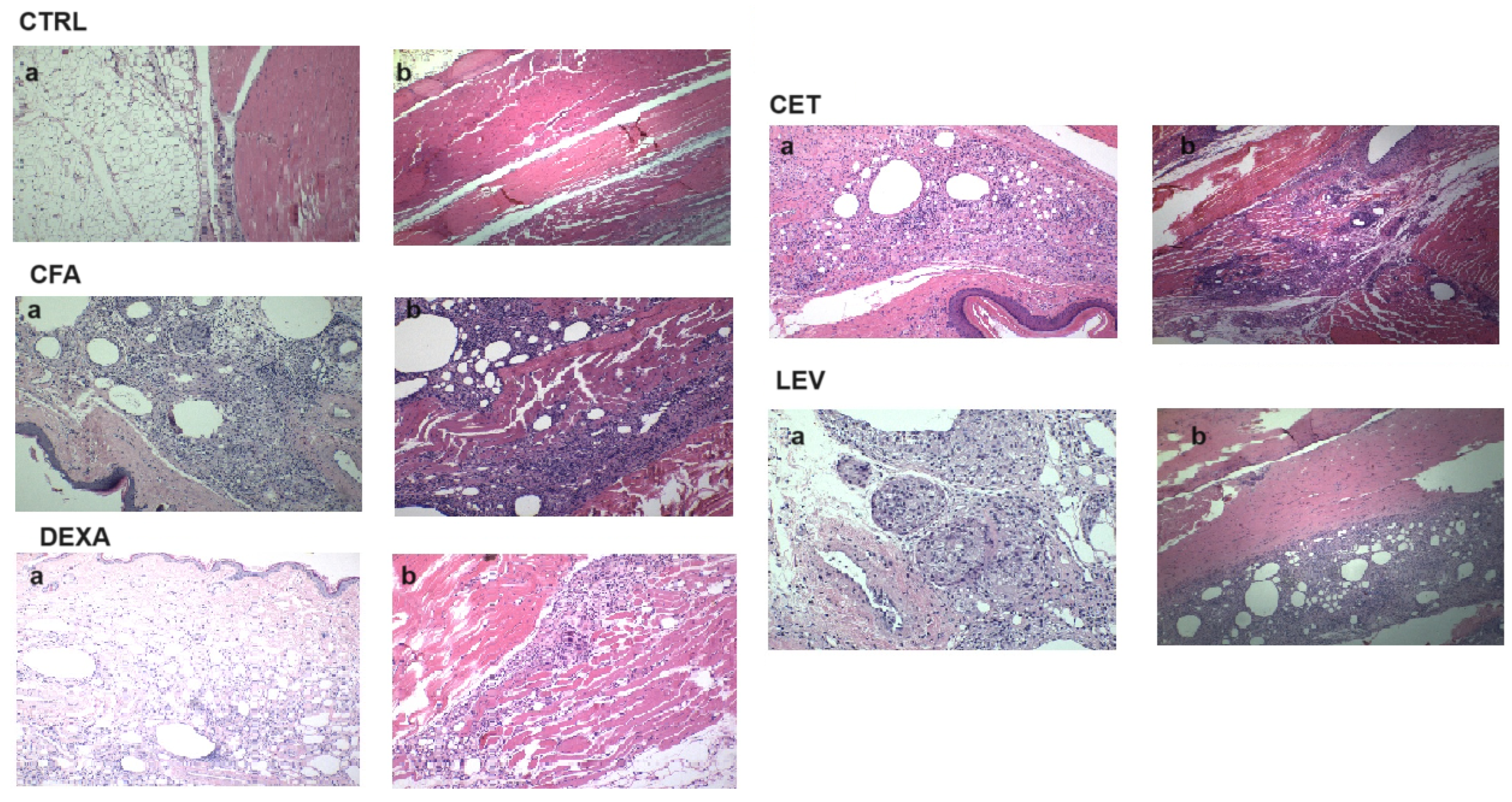 Pharmaceuticals 16 01563 g005 Pharmaceuticals 16 01563 g005