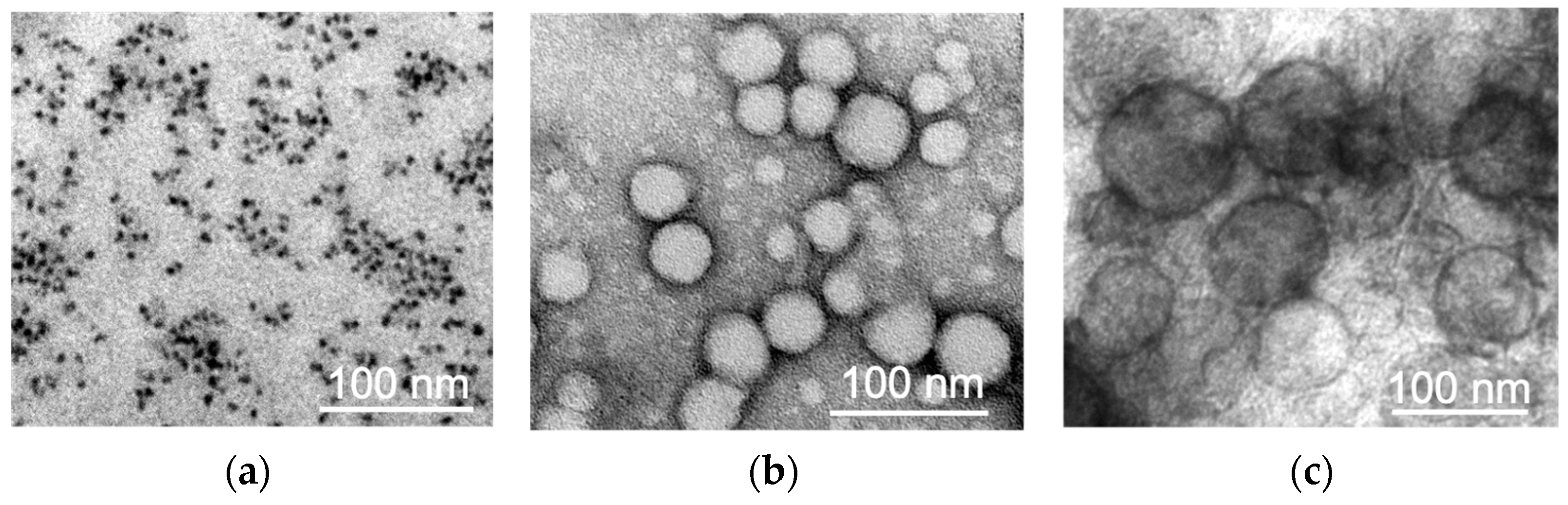 Pharmaceuticals 16 01564 g001
