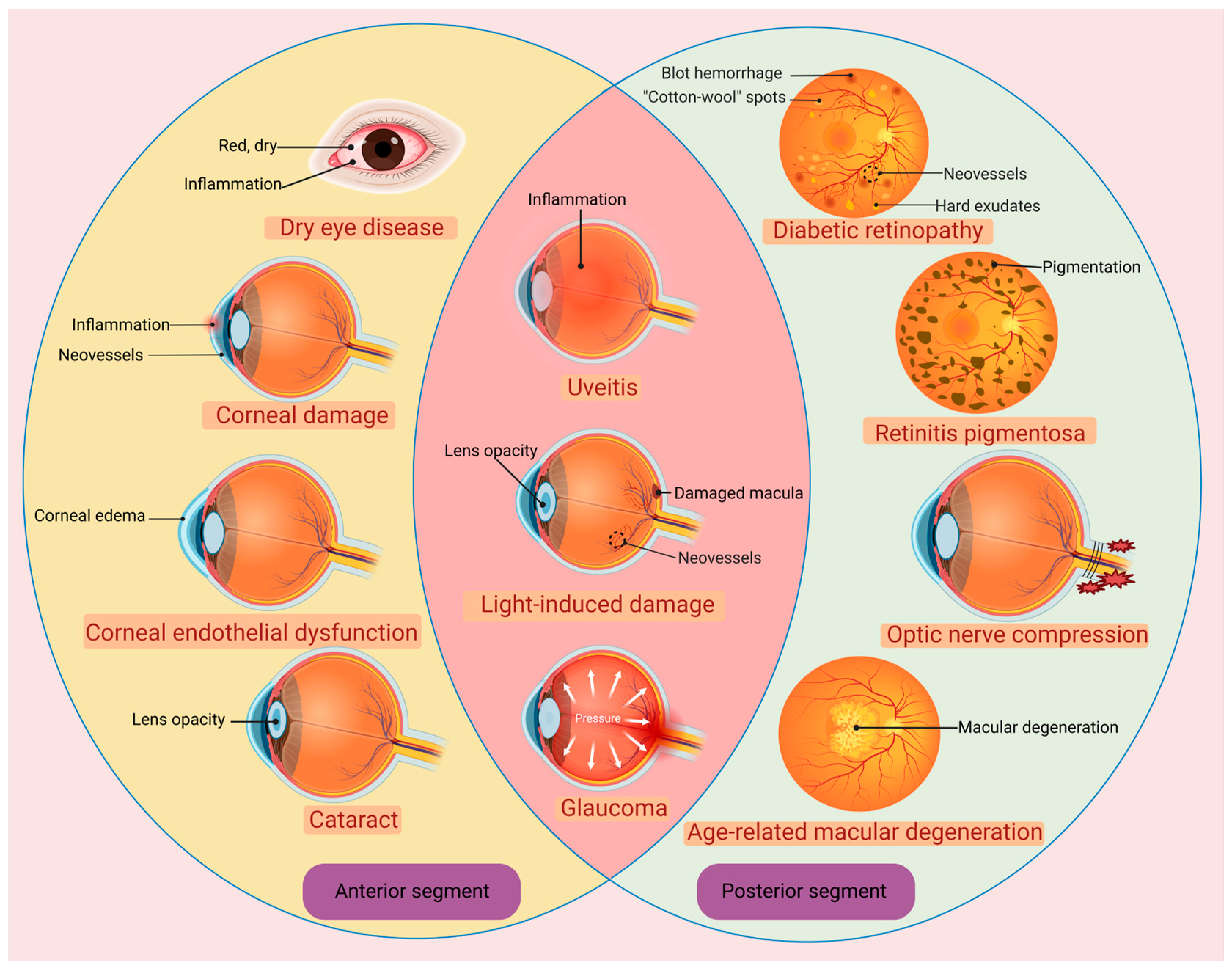 Pharmaceuticals 16 01567 g001 Pharmaceuticals 16 01567 g001