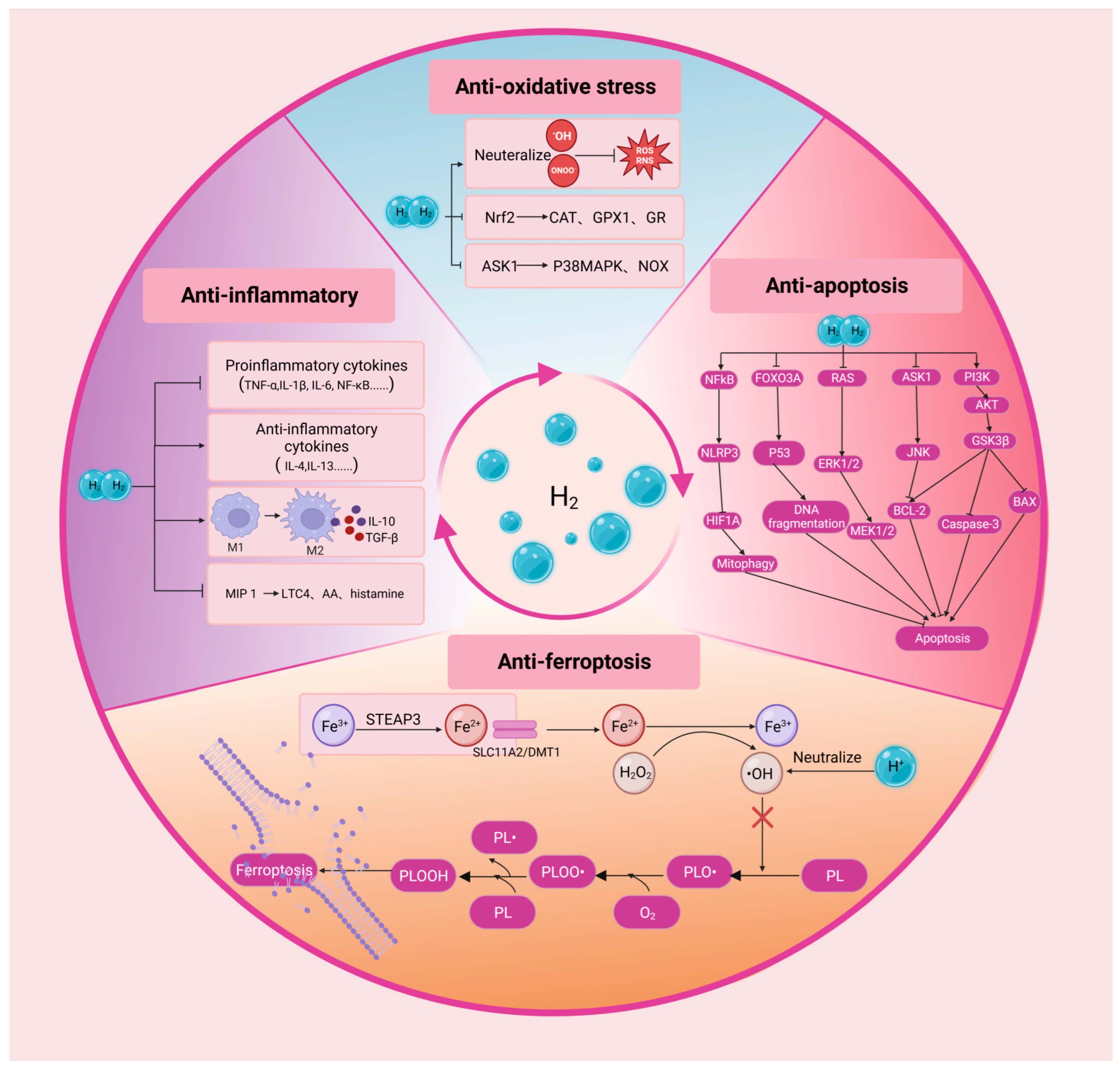 Pharmaceuticals 16 01567 g002 Pharmaceuticals 16 01567 g002