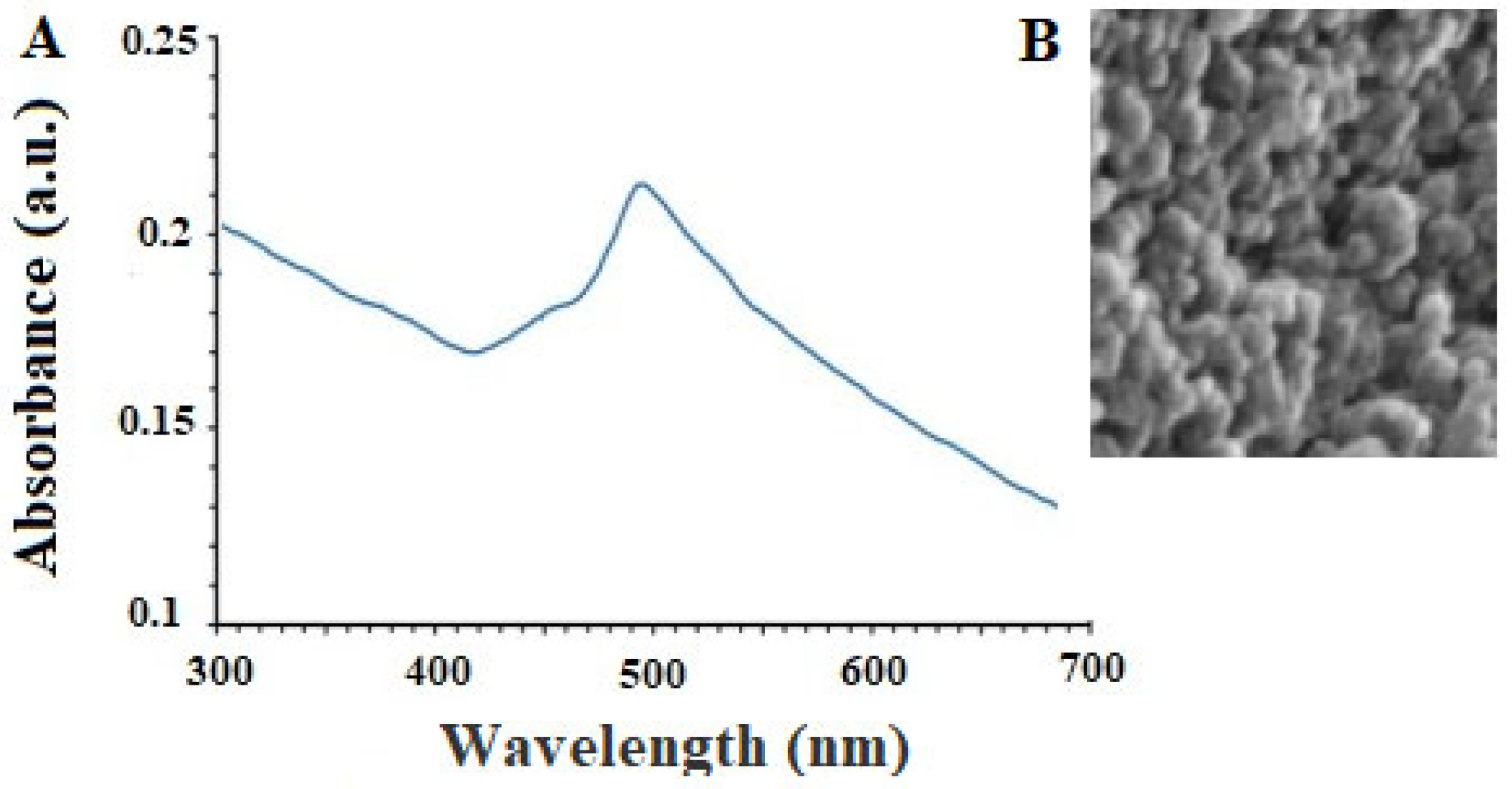 Pharmaceuticals 16 01574 g001