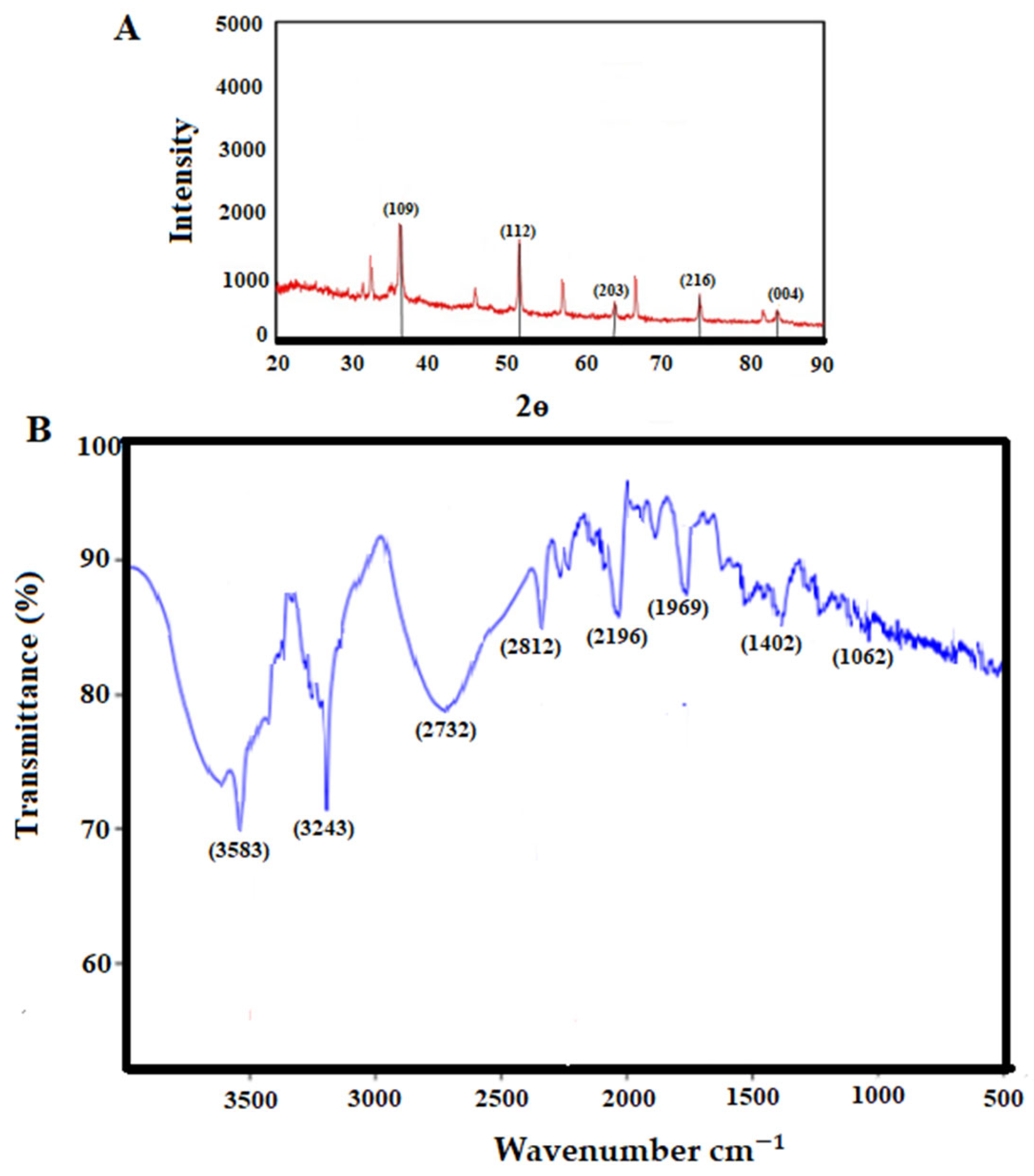 Pharmaceuticals 16 01574 g002