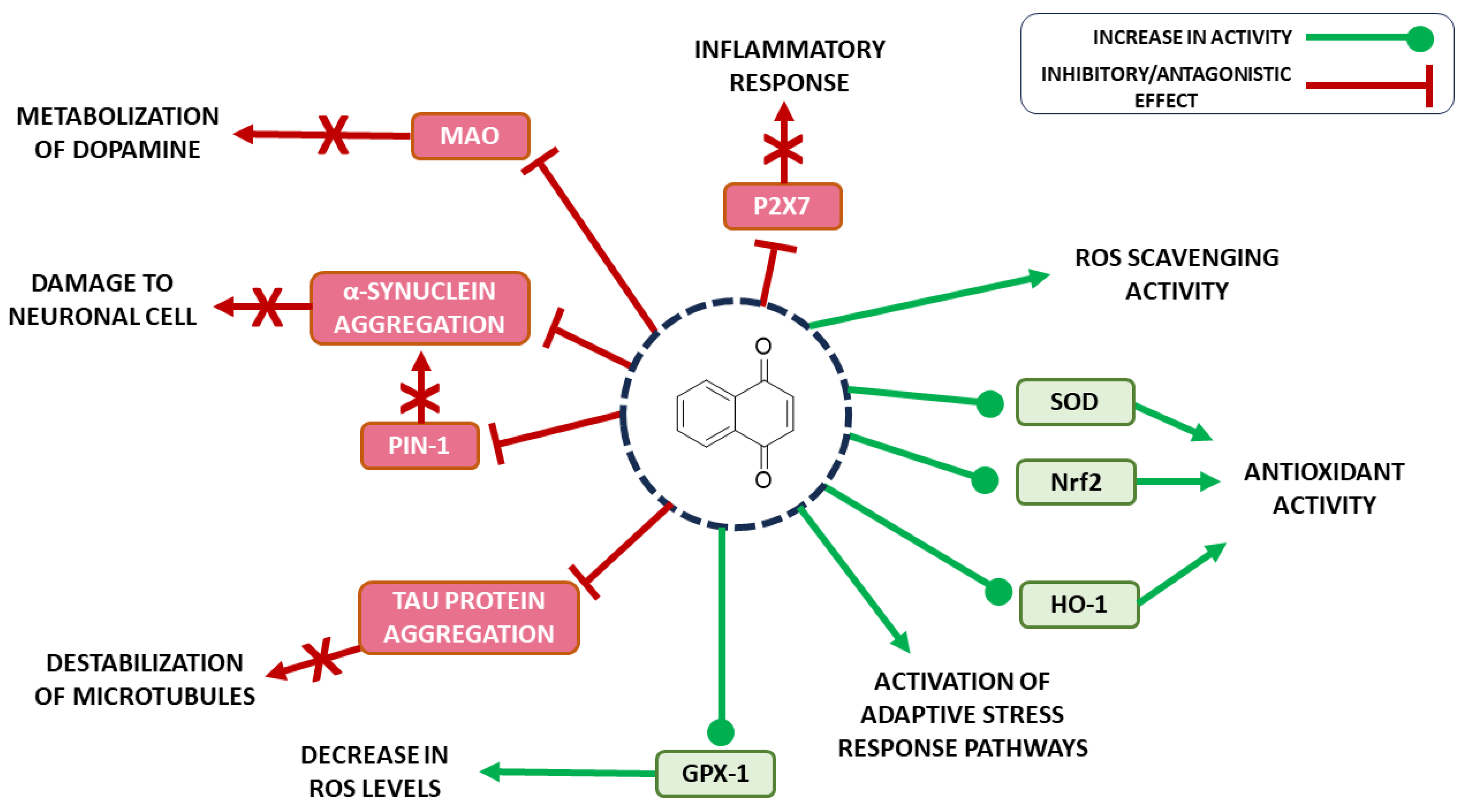 Pharmaceuticals 16 01577 g002