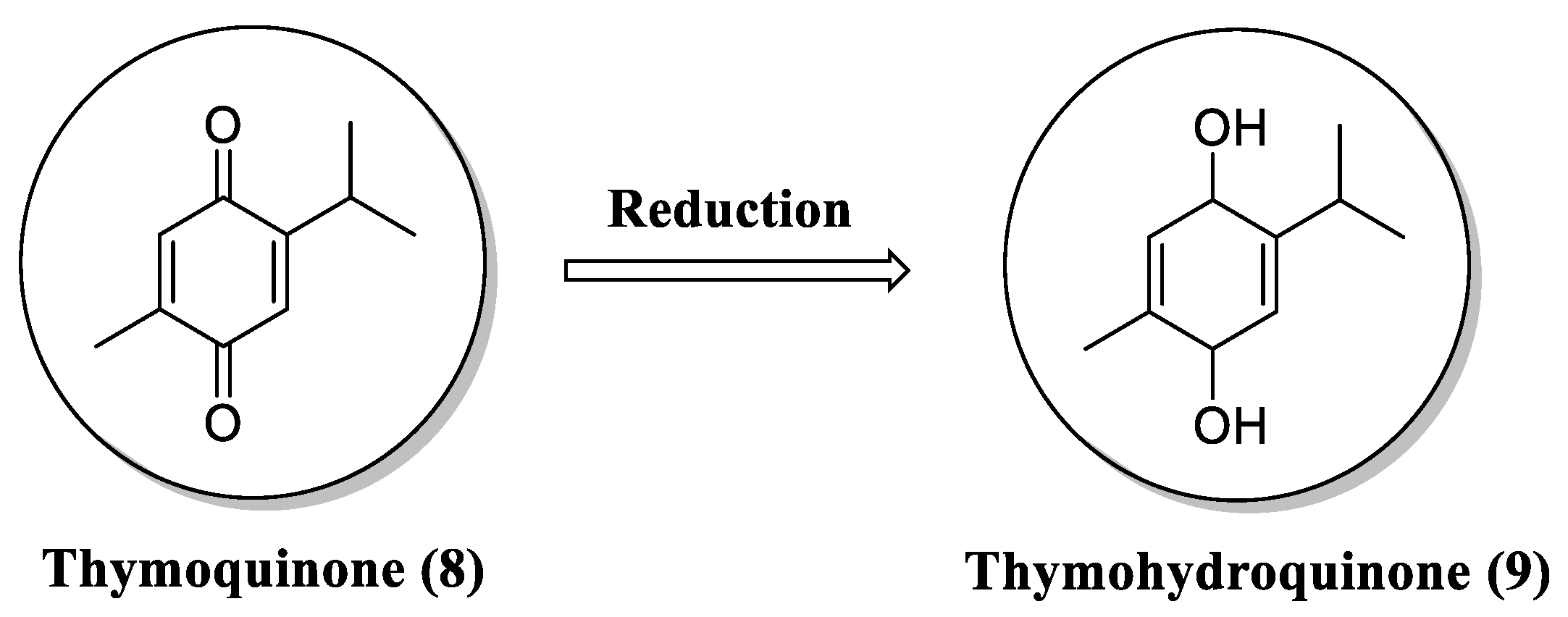 Pharmaceuticals 16 01577 g004