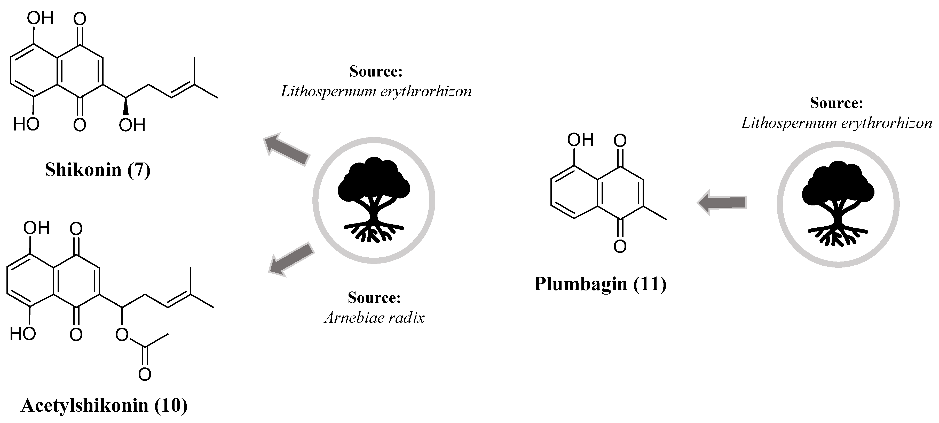 Pharmaceuticals 16 01577 g005
