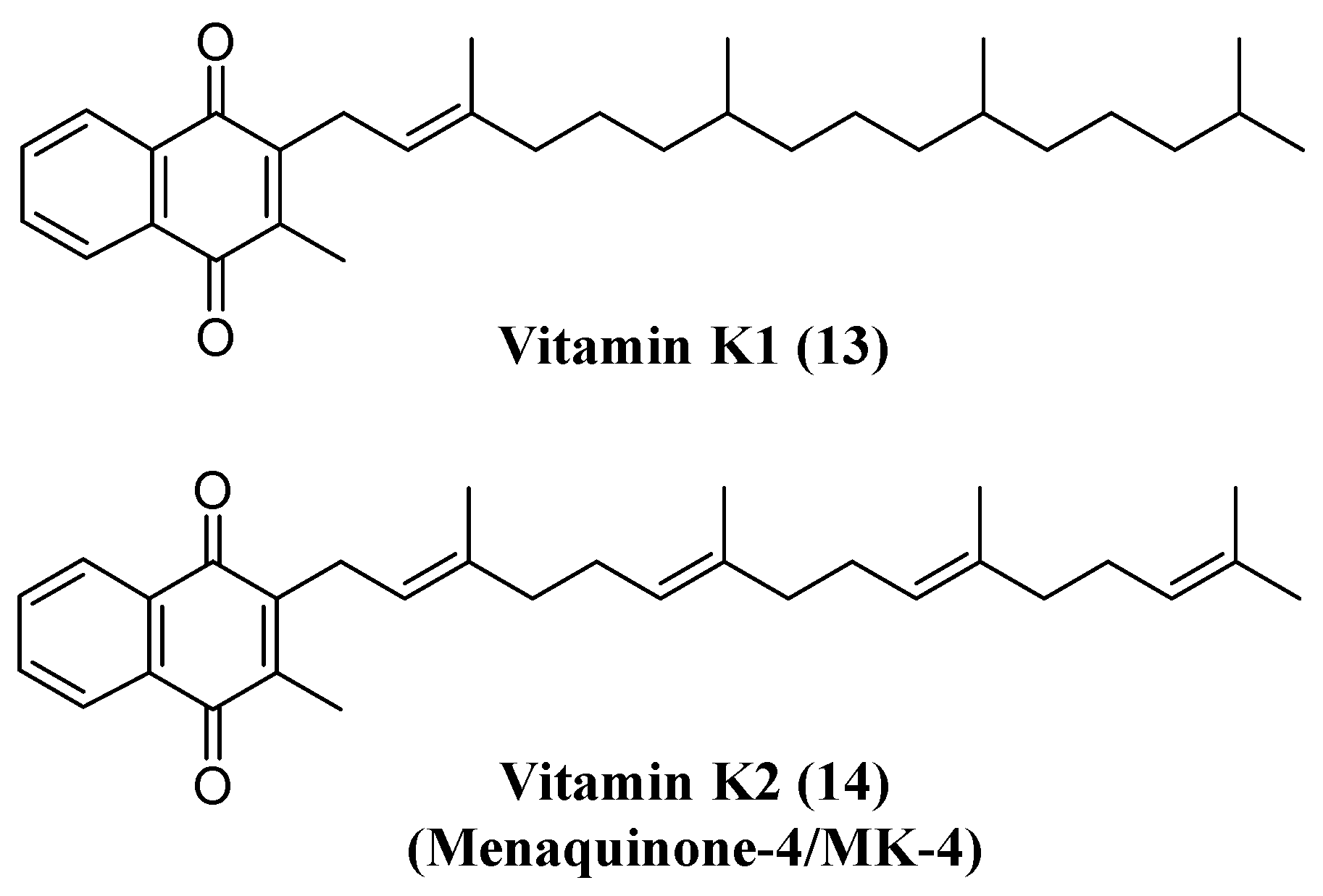 Pharmaceuticals 16 01577 g007
