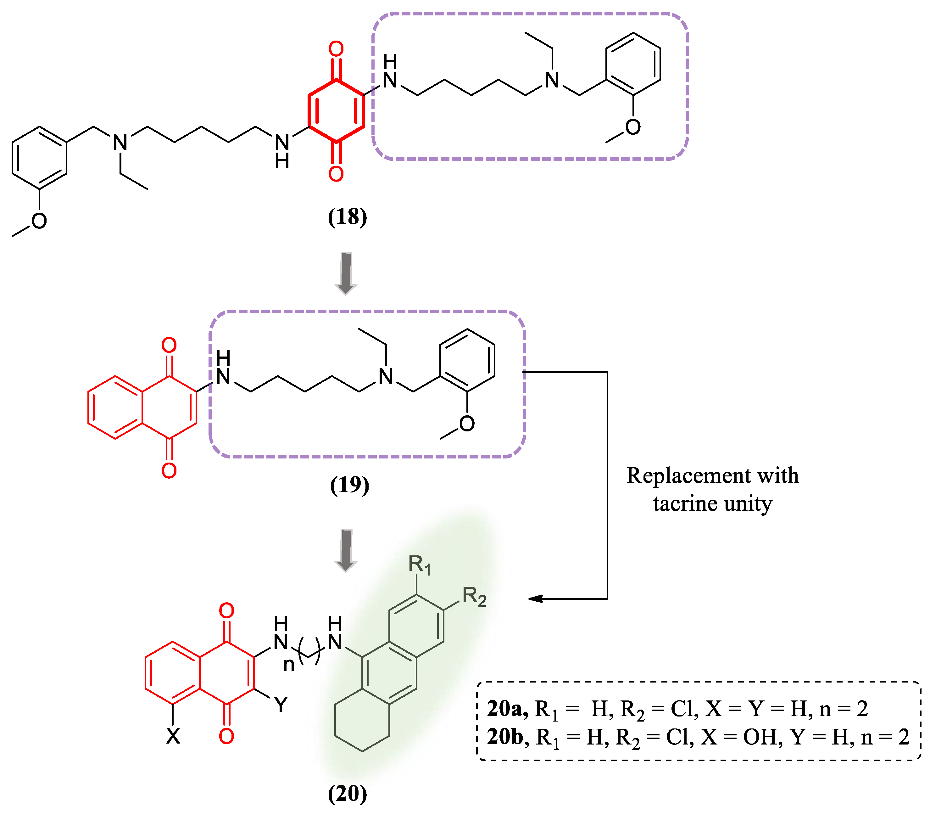 Pharmaceuticals 16 01577 g009