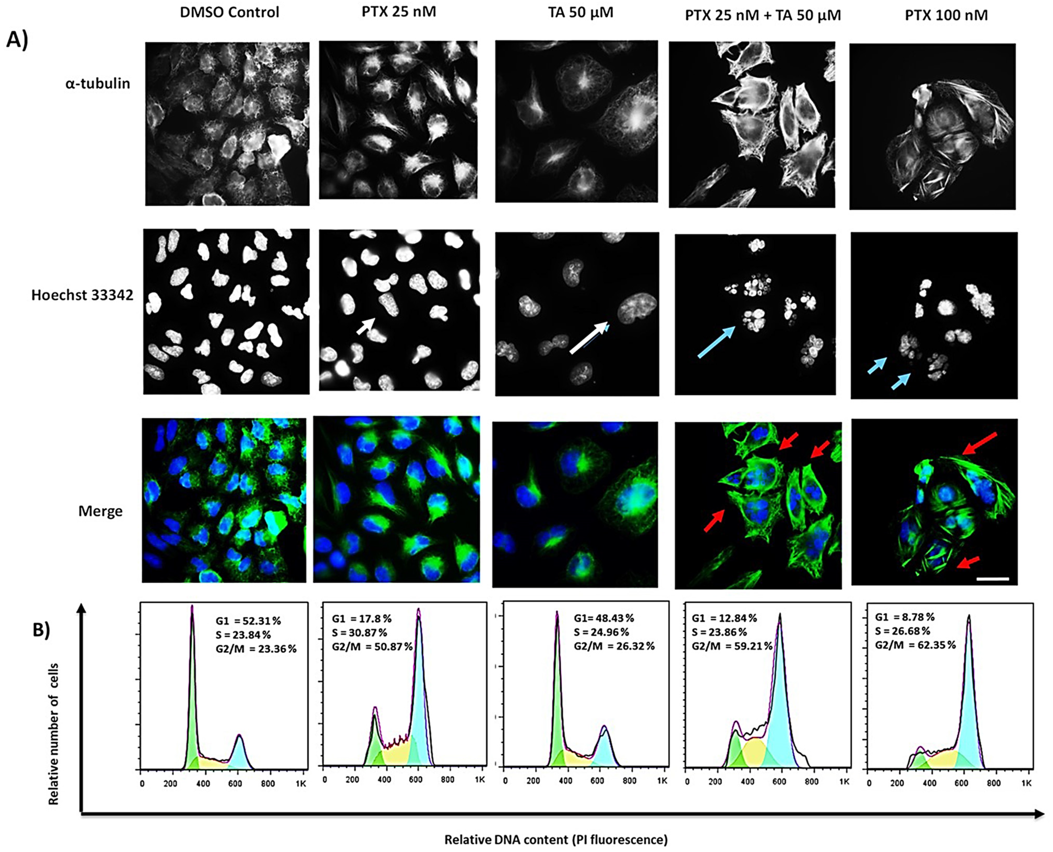 Pharmaceuticals 16 01579 g002