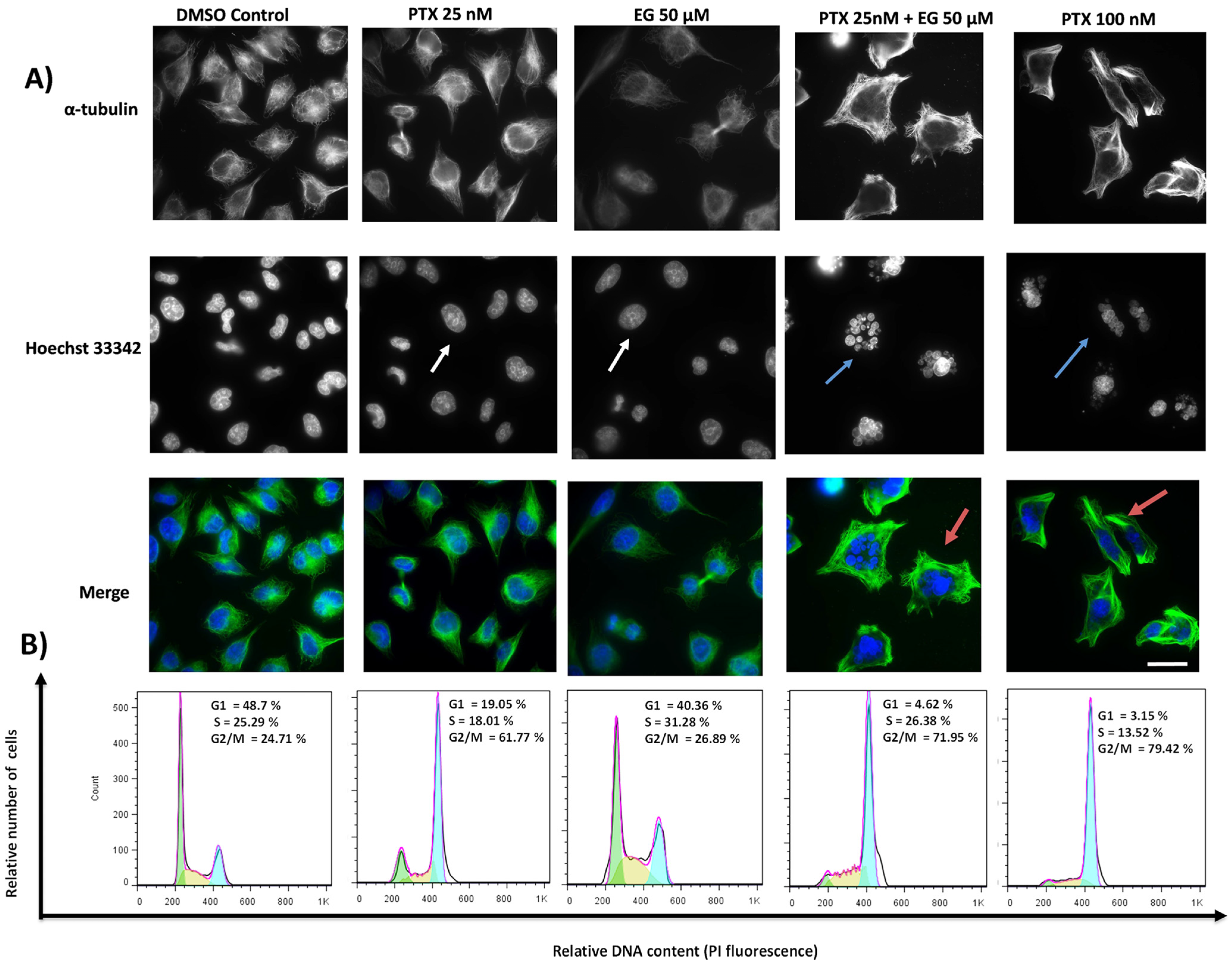 Pharmaceuticals 16 01579 g003