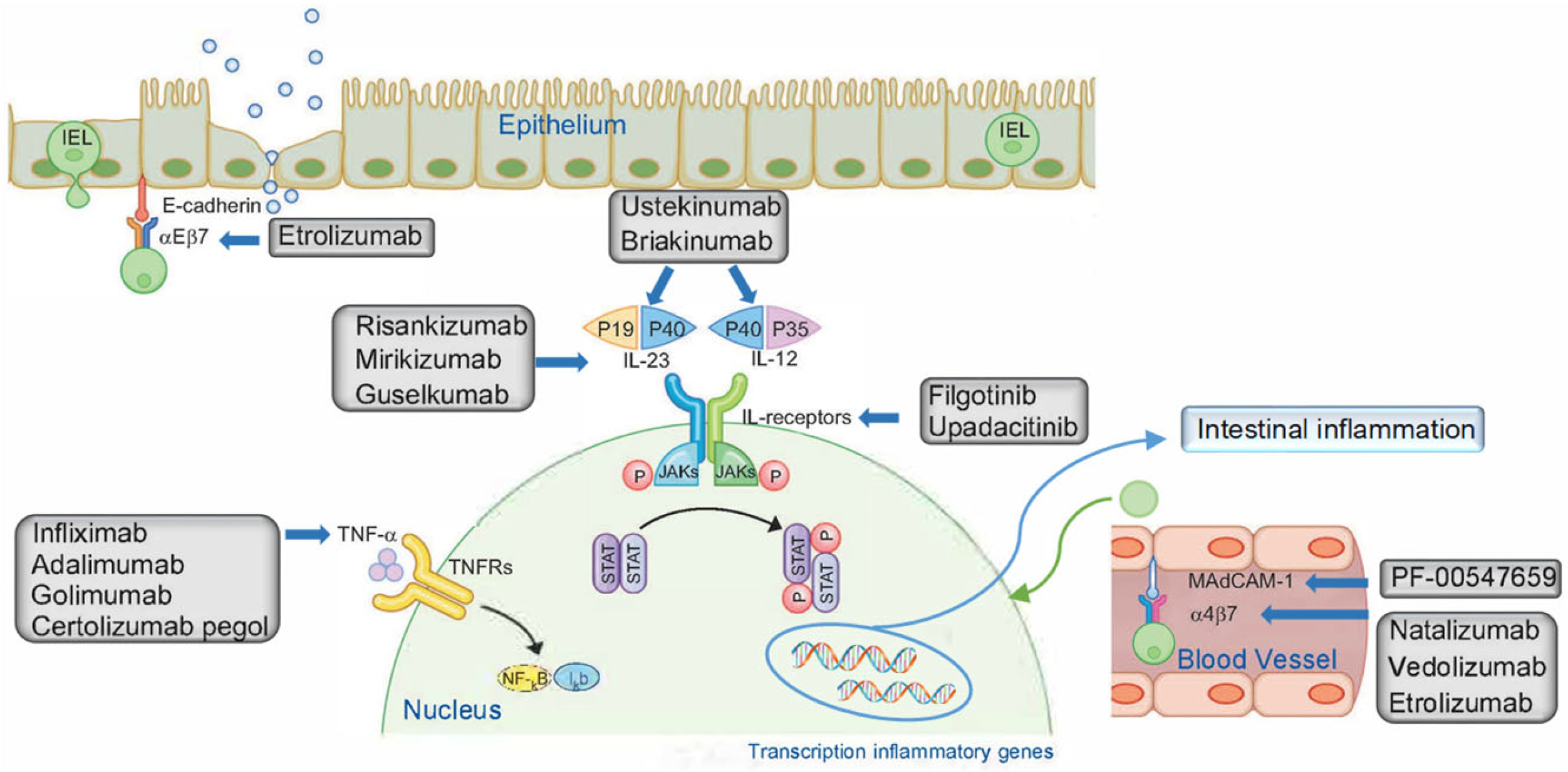 Pharmaceuticals 16 01581 g001