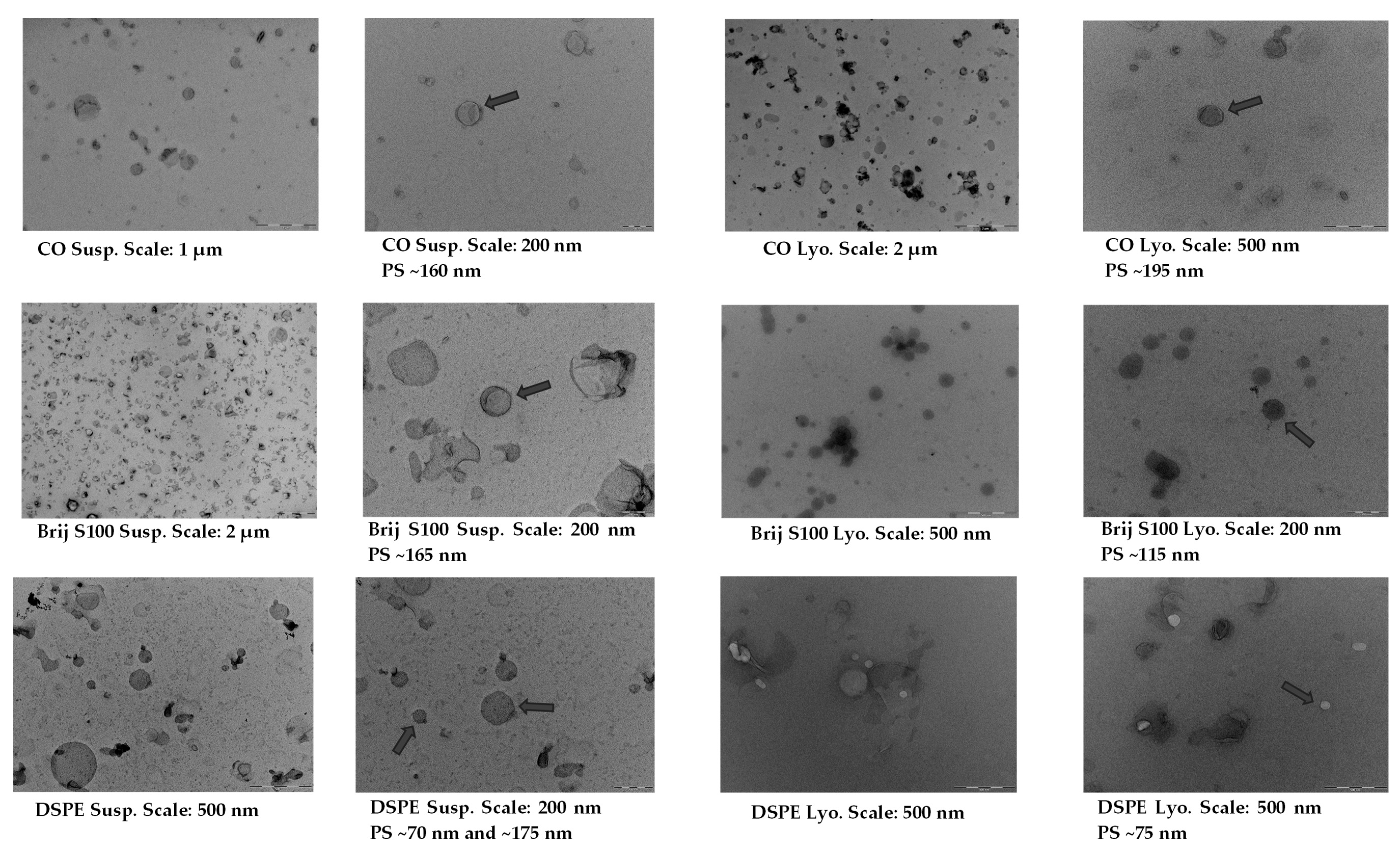 Pharmaceuticals 16 01583 g004a Pharmaceuticals 16 01583 g004a