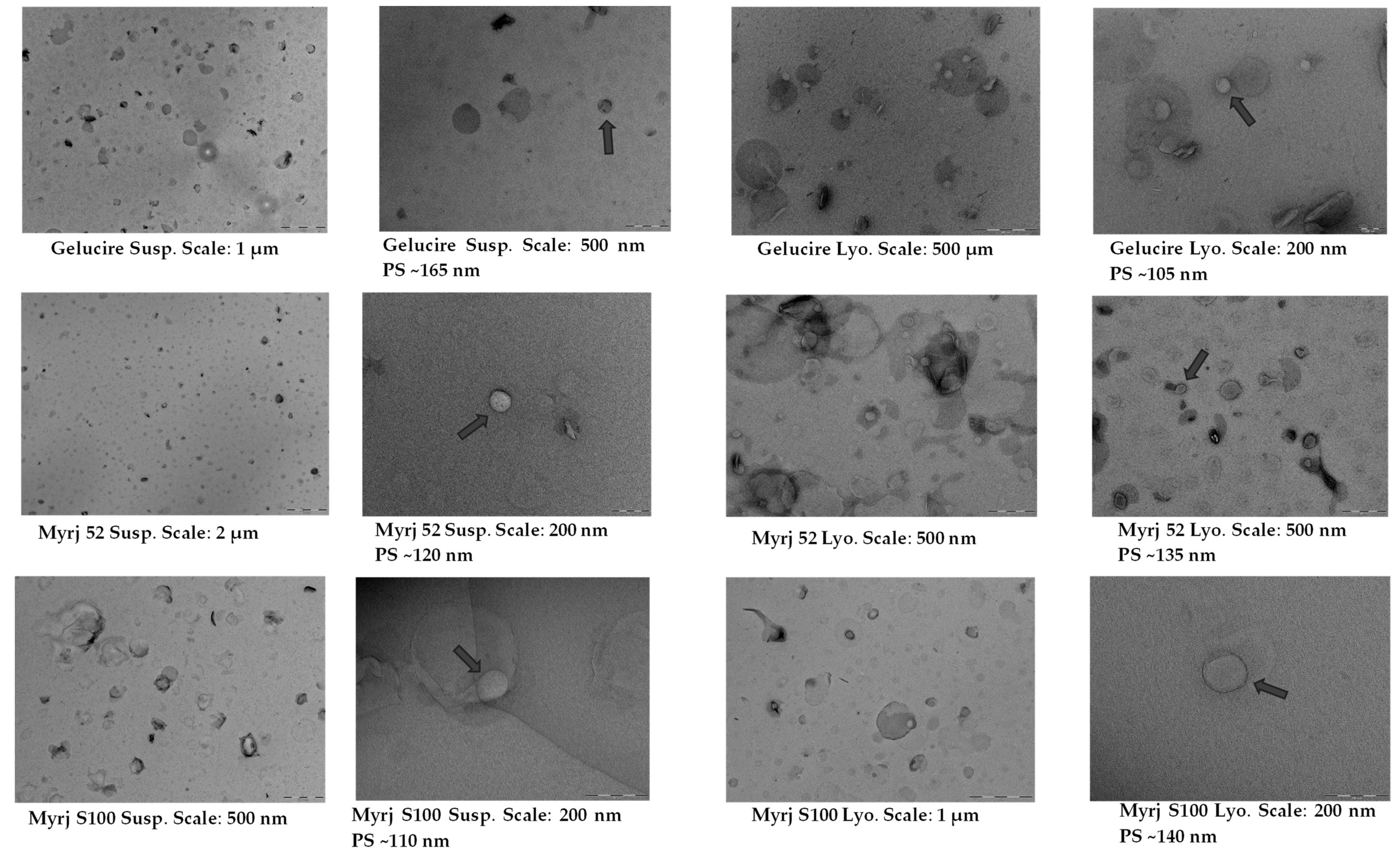 Pharmaceuticals 16 01583 g004b Pharmaceuticals 16 01583 g004b