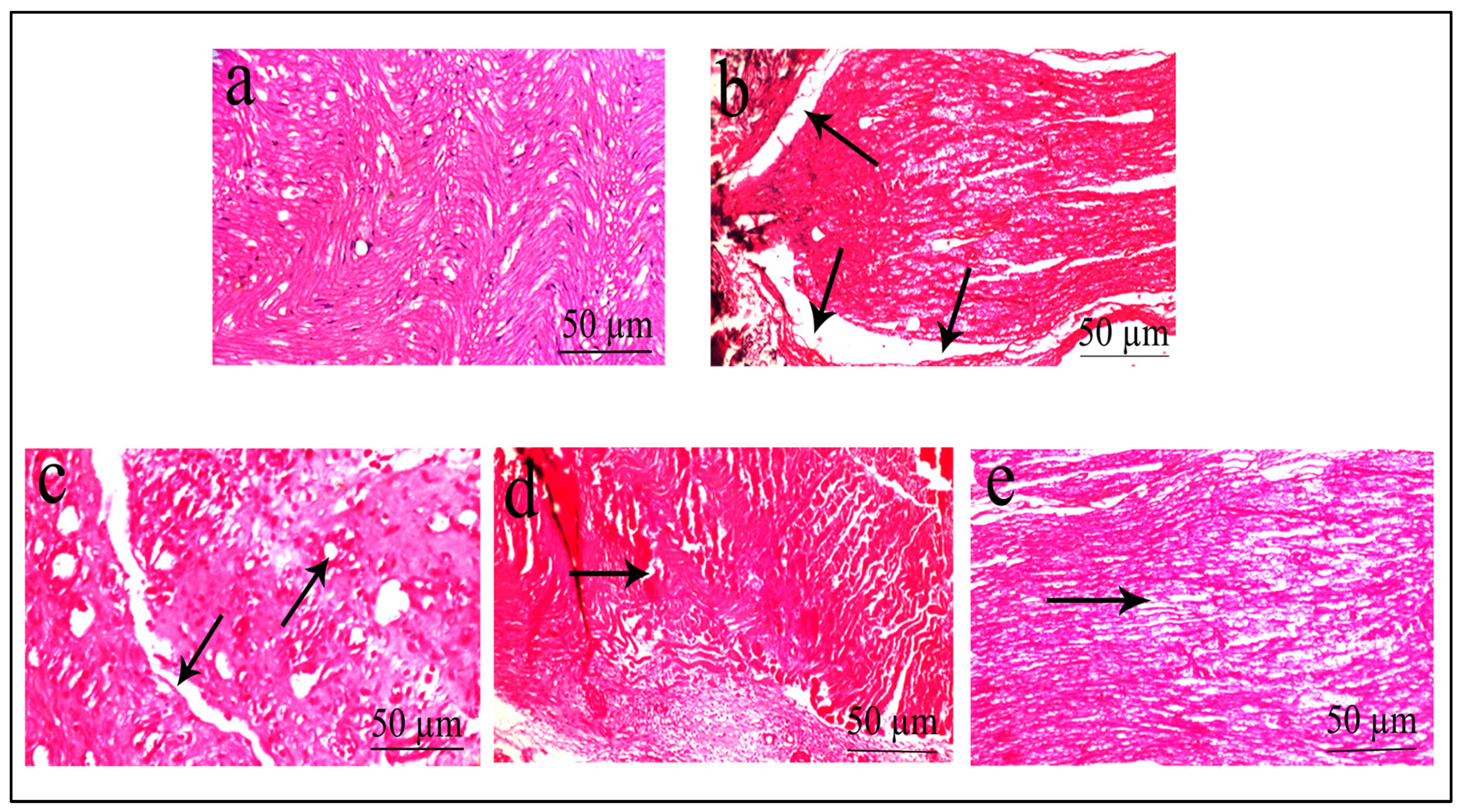 Pharmaceuticals 16 01586 g009
