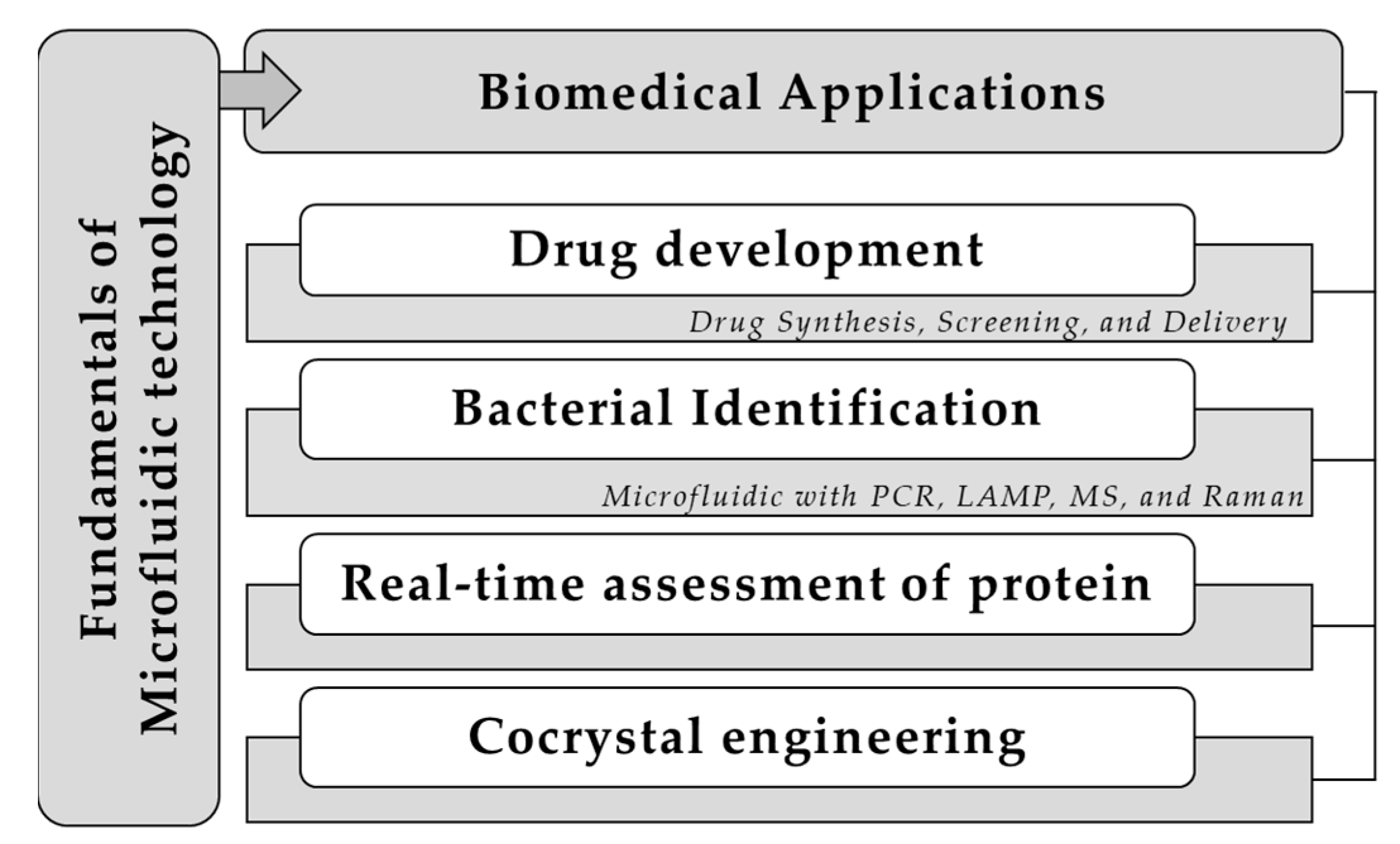 Pharmaceuticals 16 01587 g001