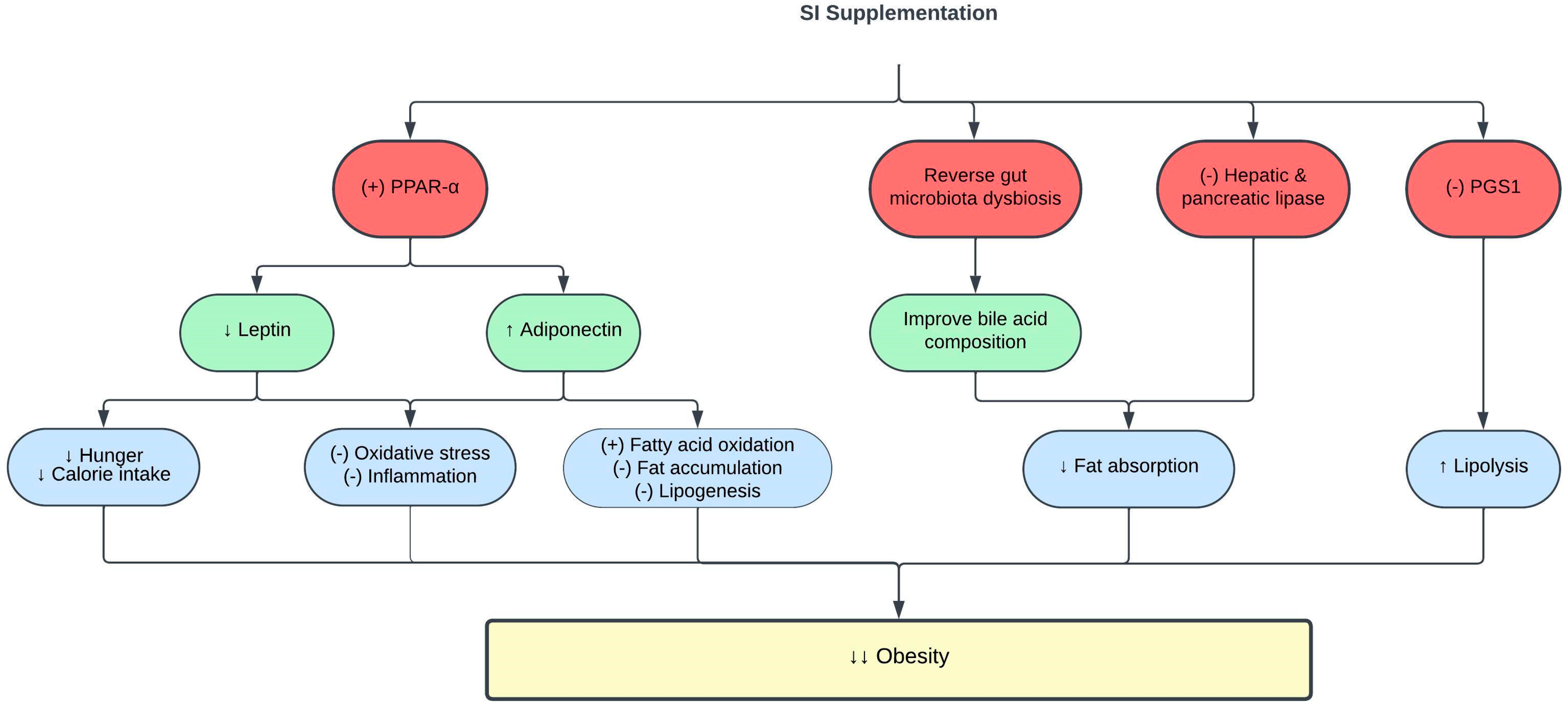 Pharmaceuticals 16 01588 g002