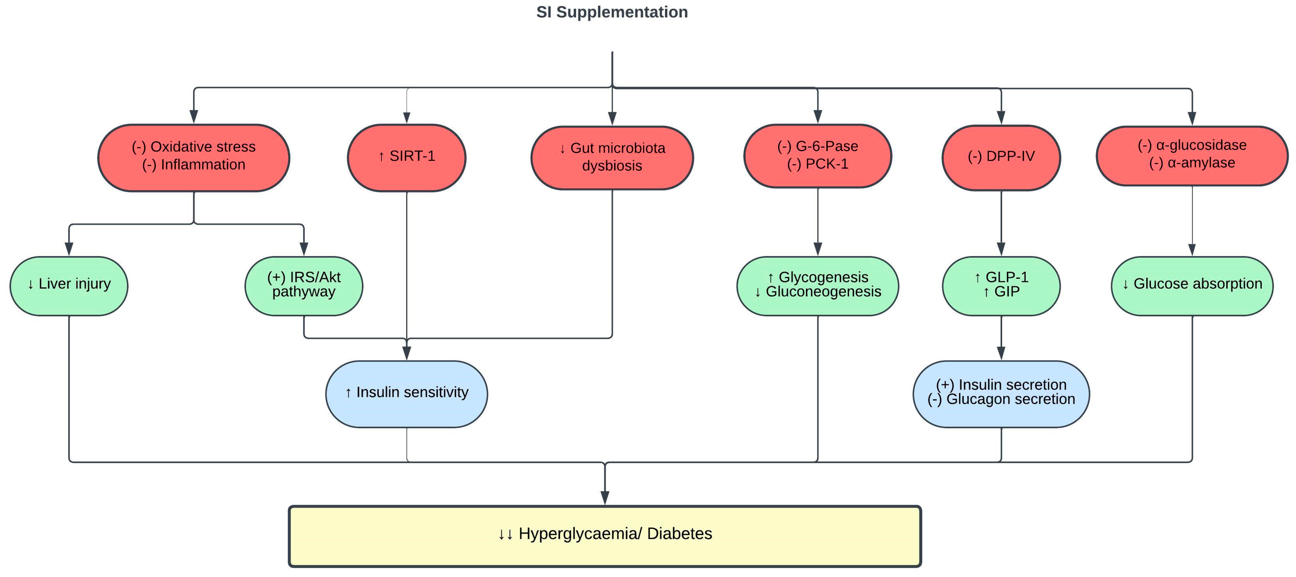 Pharmaceuticals 16 01588 g003