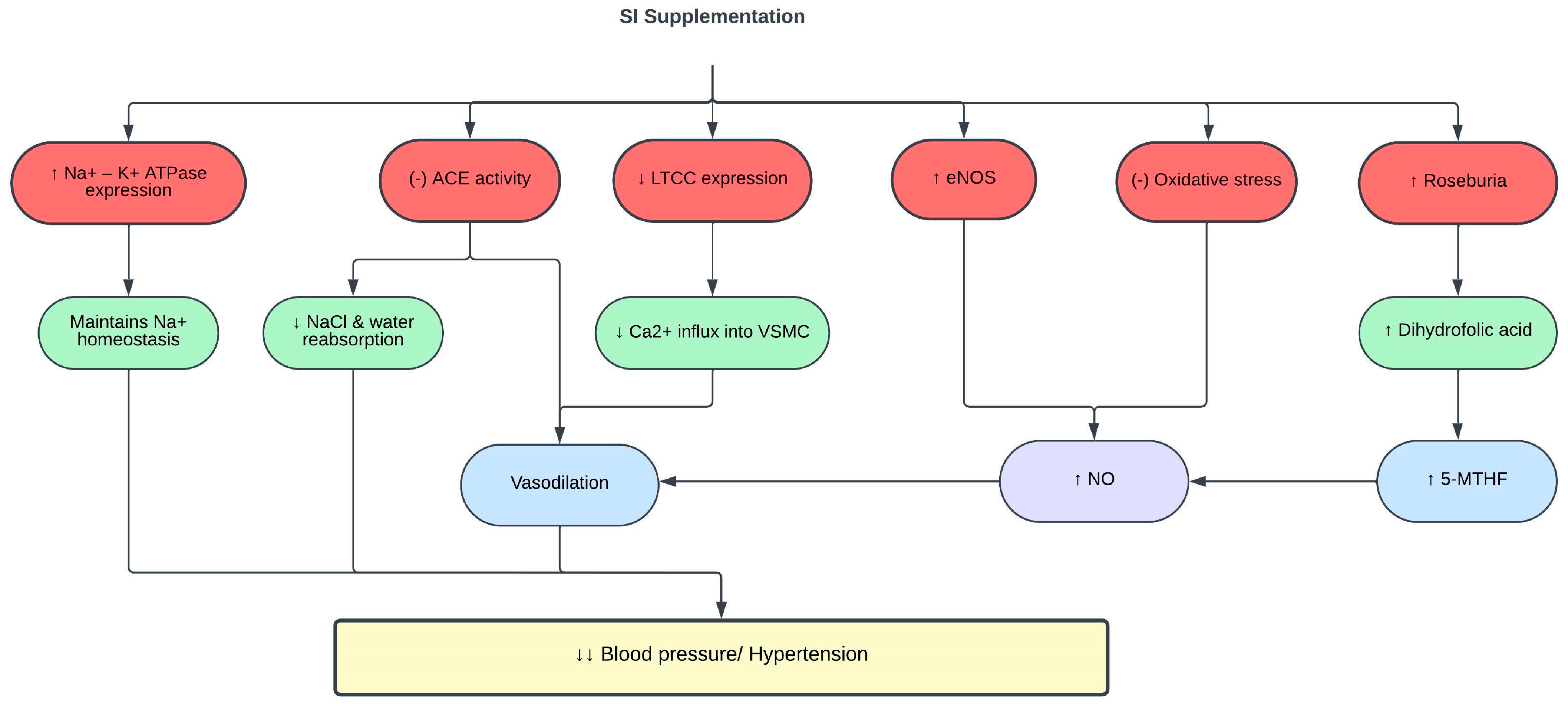 Pharmaceuticals 16 01588 g004