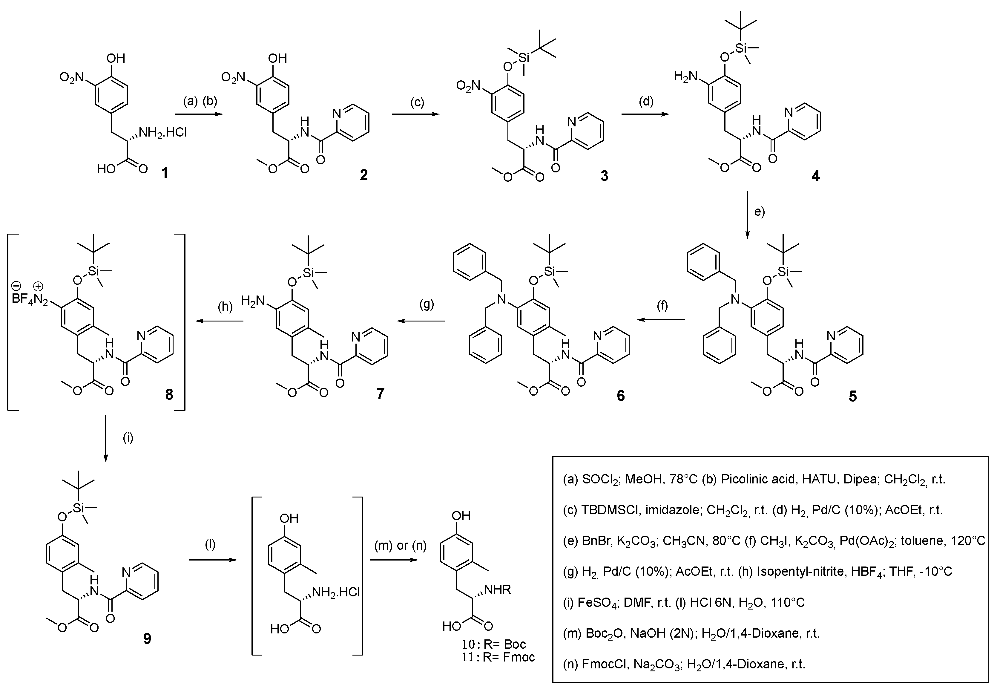 Pharmaceuticals 16 01592 g003 Pharmaceuticals 16 01592 g003