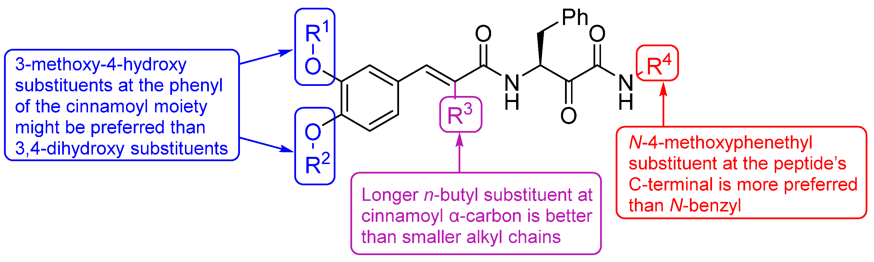 Pharmaceuticals 16 01594 g002