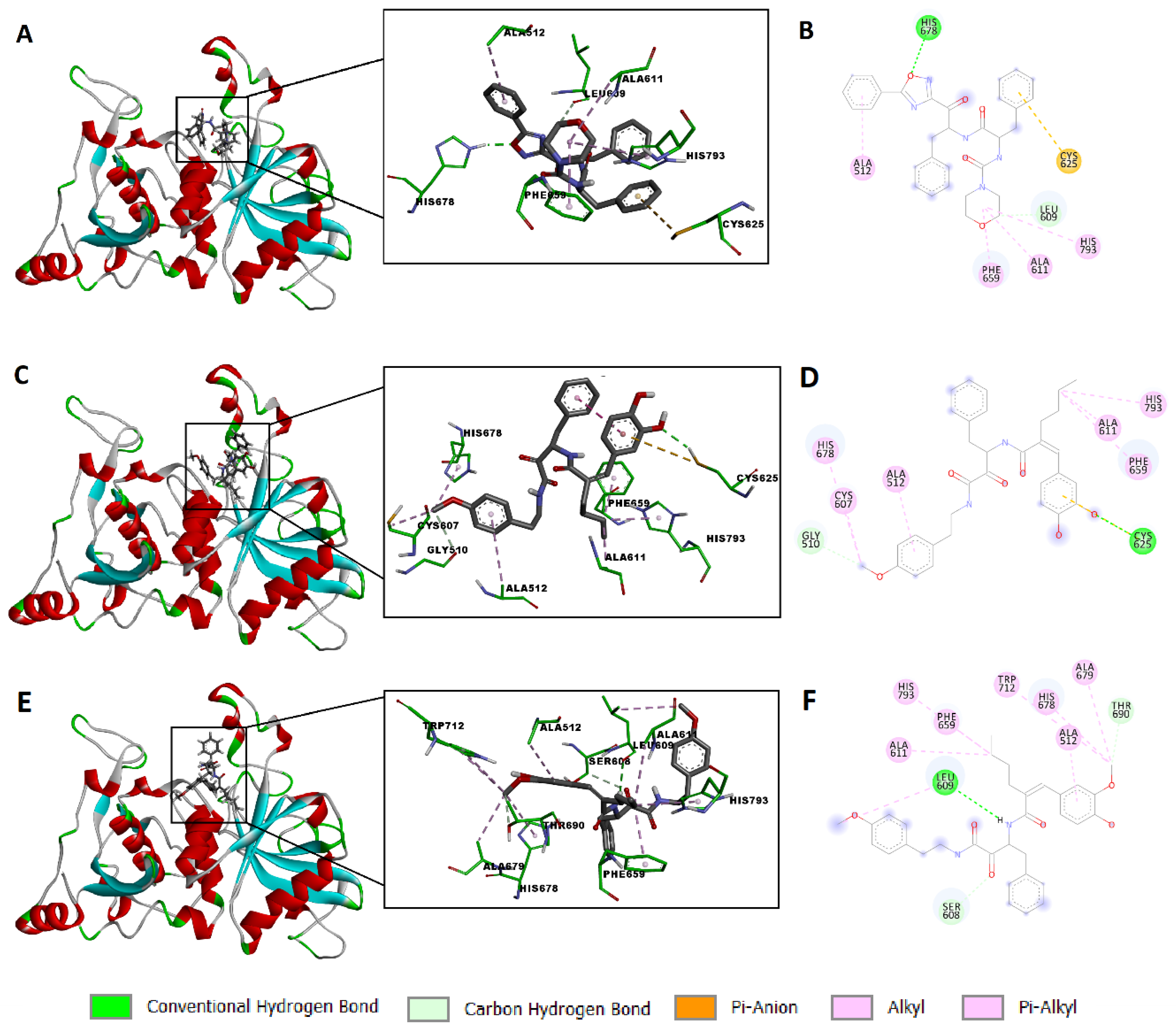 Pharmaceuticals 16 01594 g004