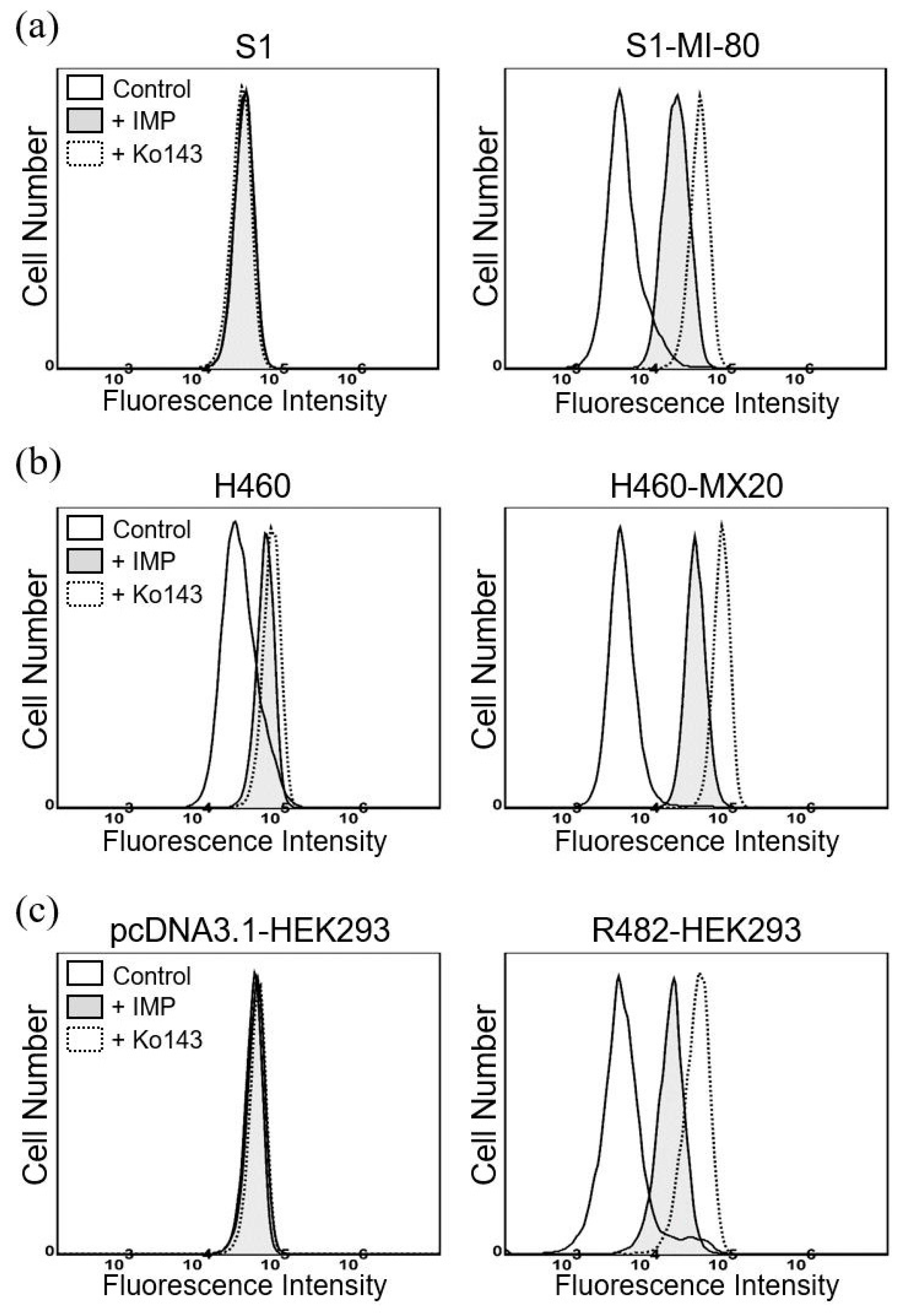 Pharmaceuticals 16 01595 g004 Pharmaceuticals 16 01595 g004
