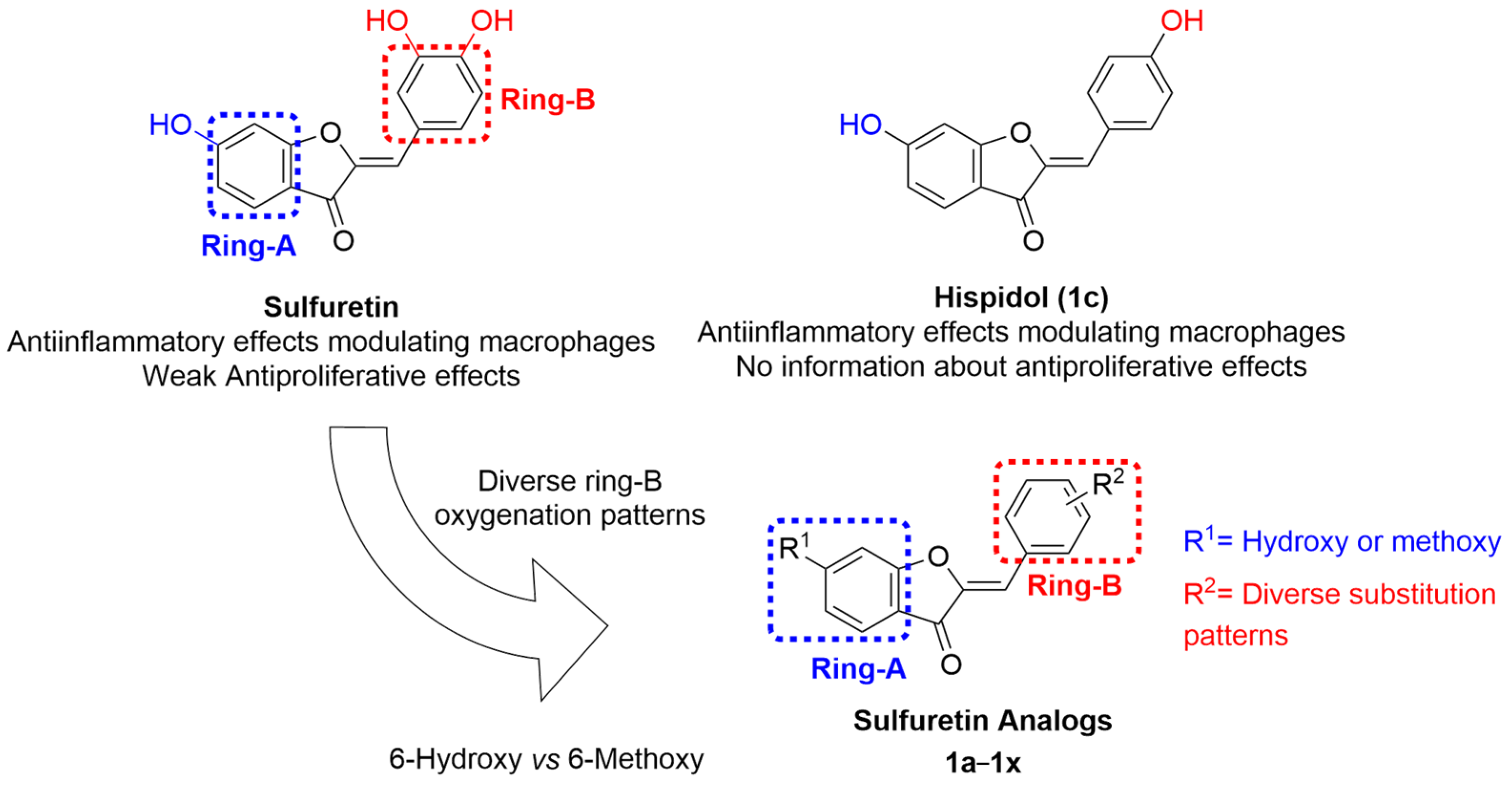 Pharmaceuticals 16 01597 g001
