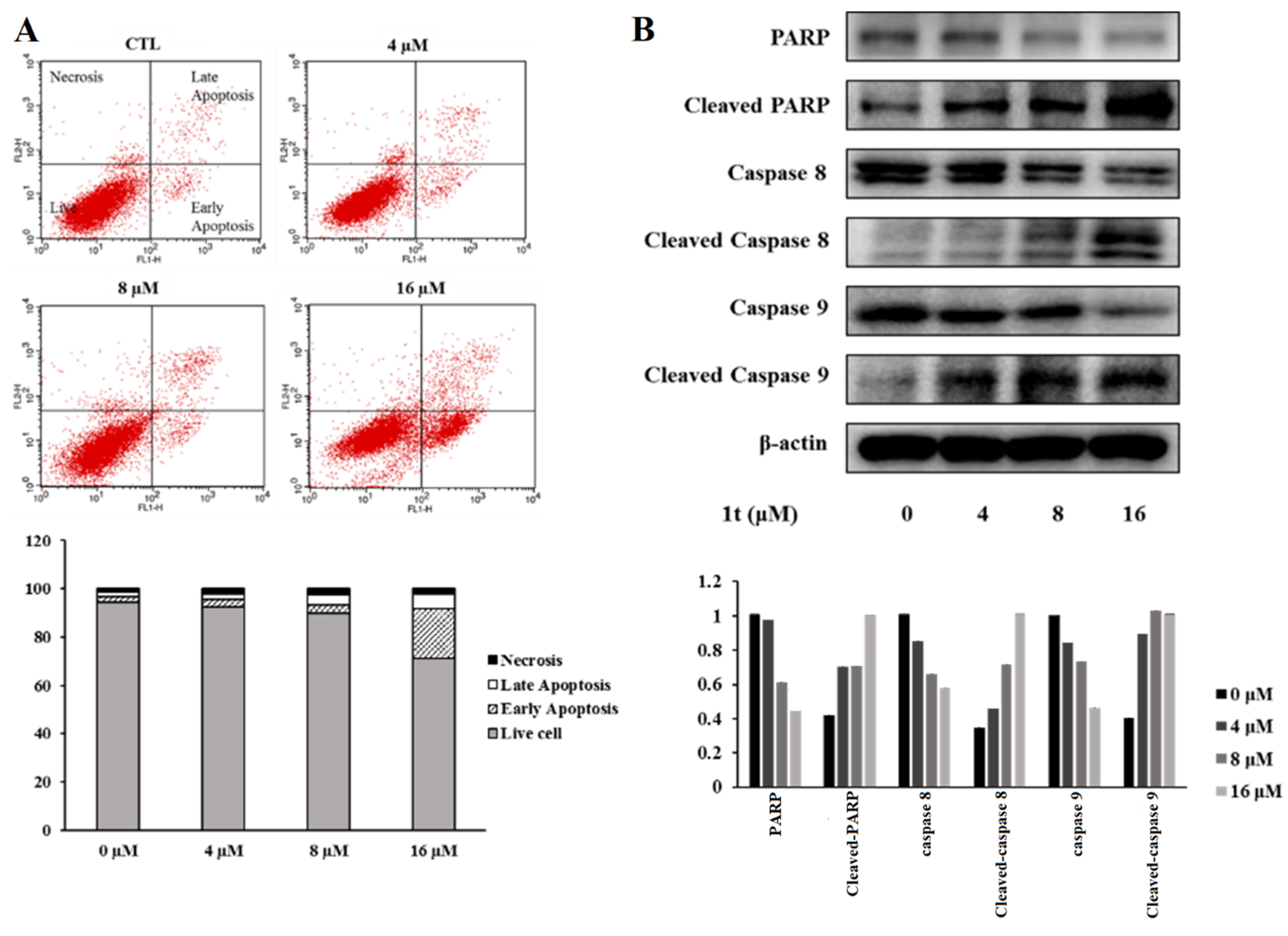 Pharmaceuticals 16 01597 g011