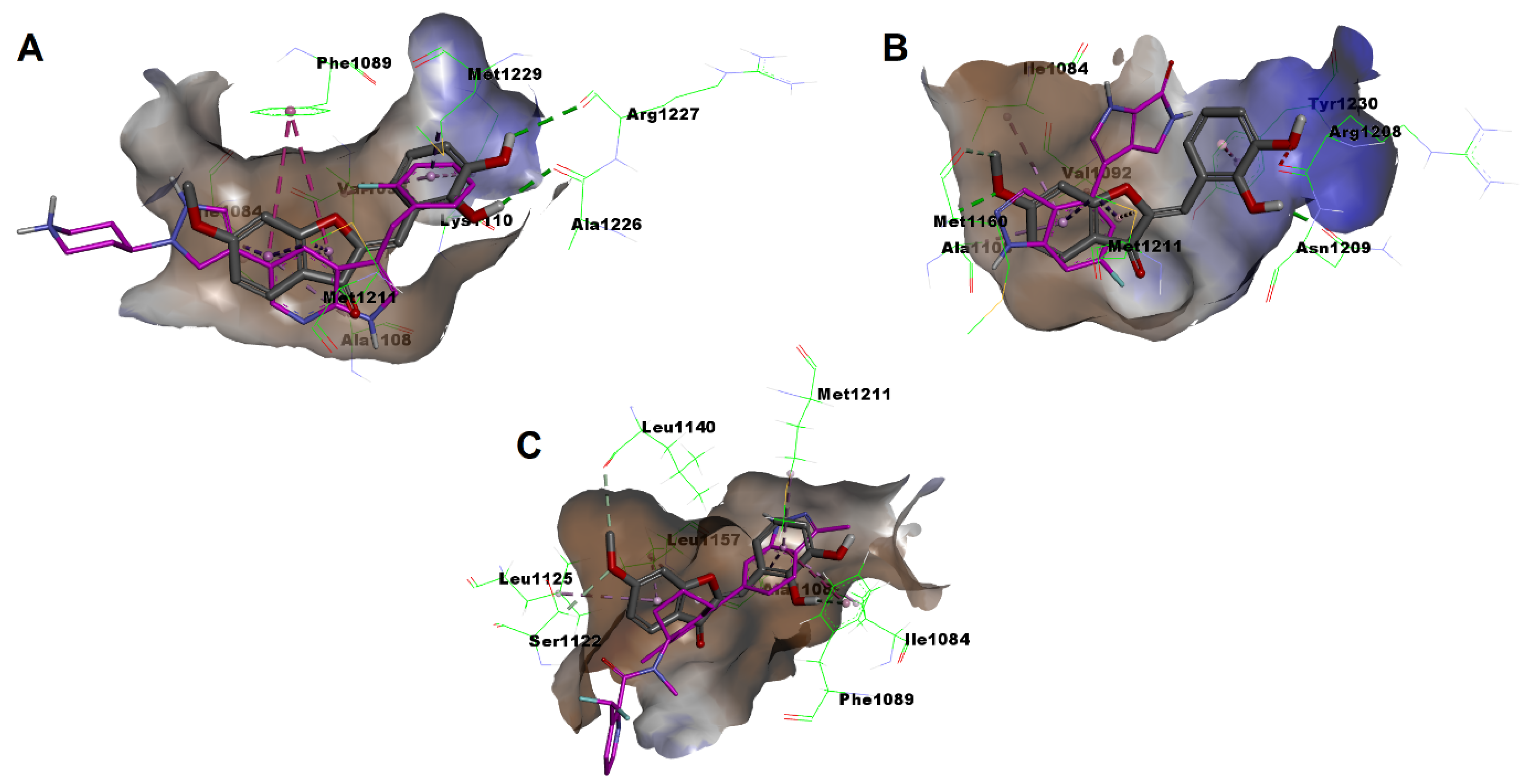 Pharmaceuticals 16 01597 g014