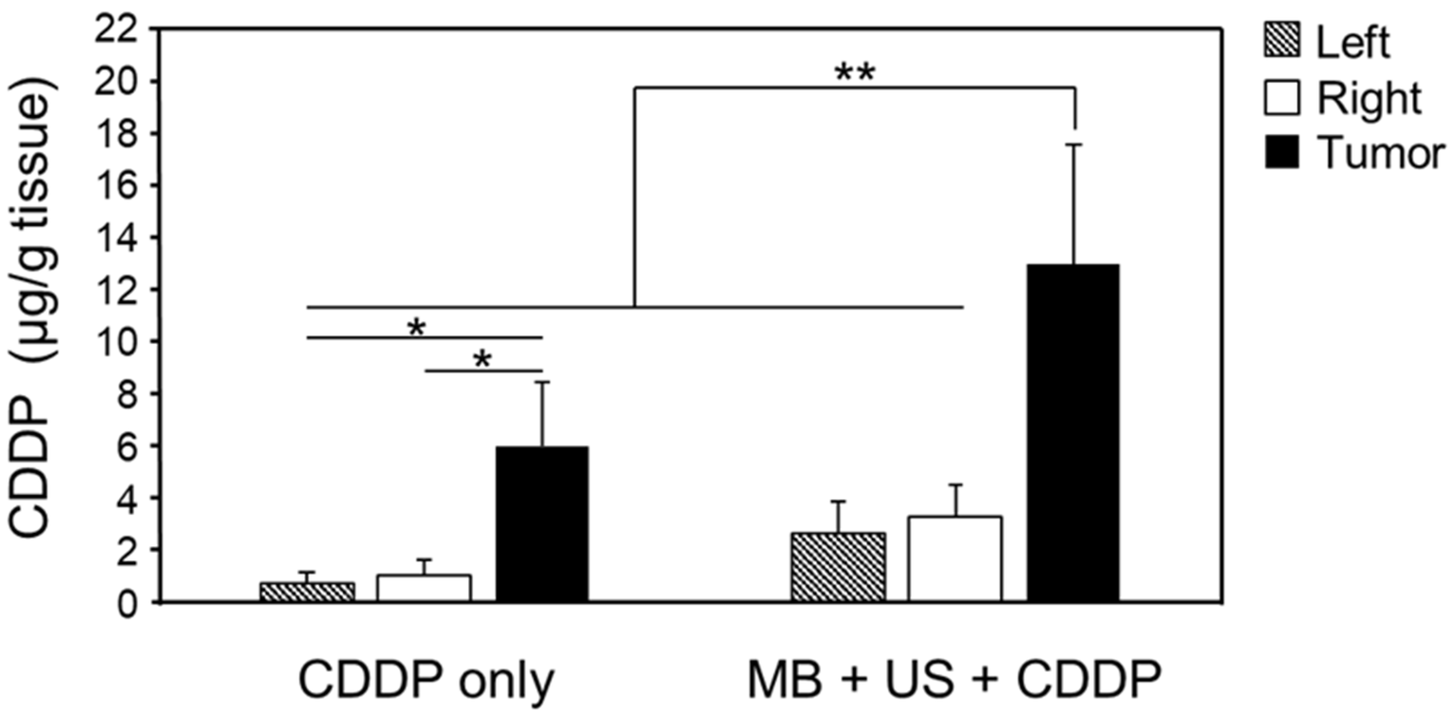 Pharmaceuticals 16 01599 g002