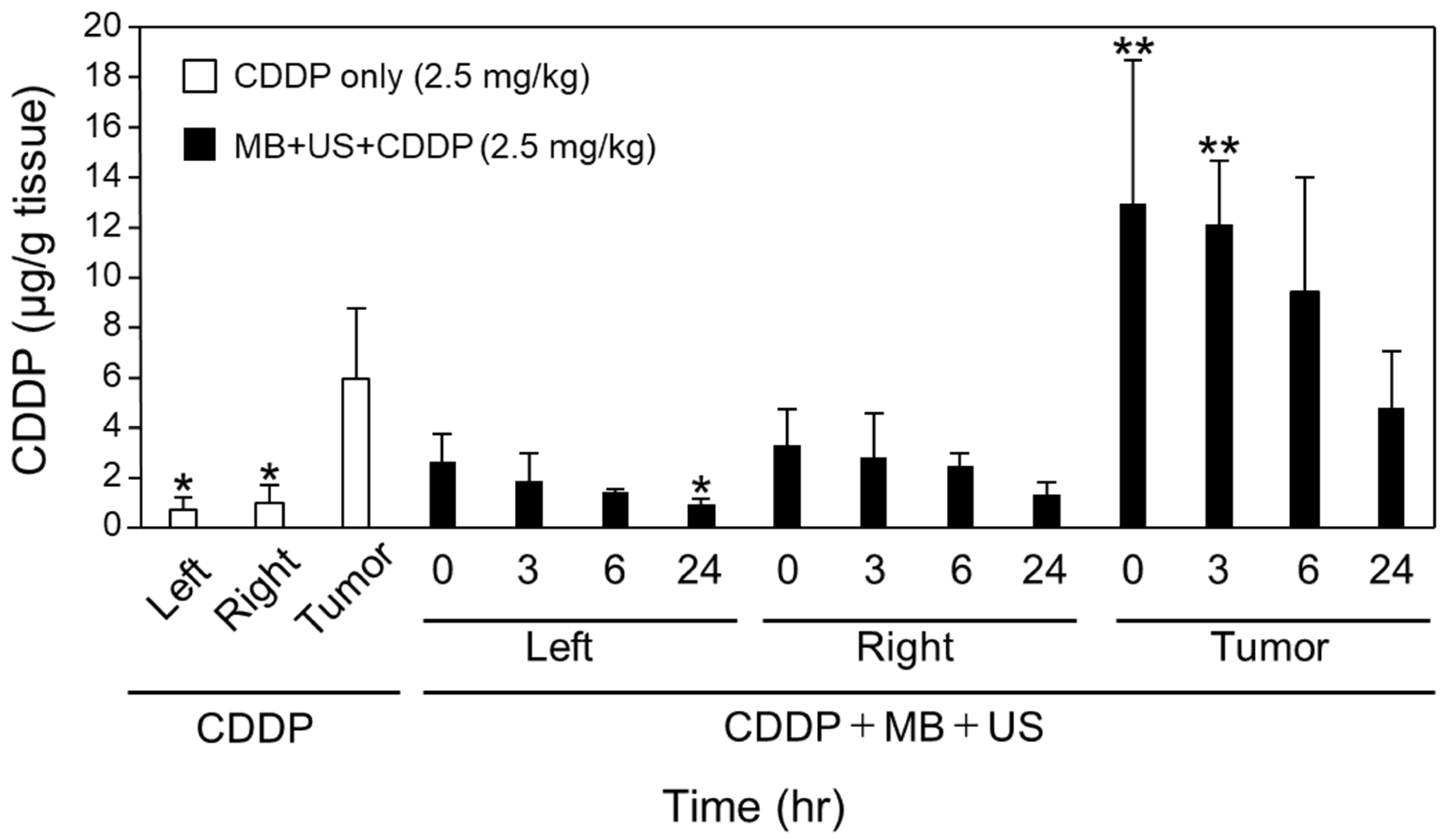 Pharmaceuticals 16 01599 g004
