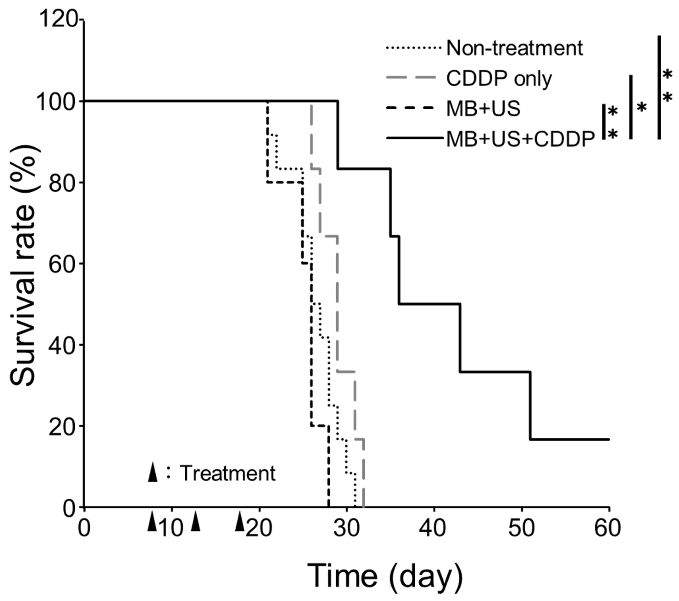Pharmaceuticals 16 01599 g006