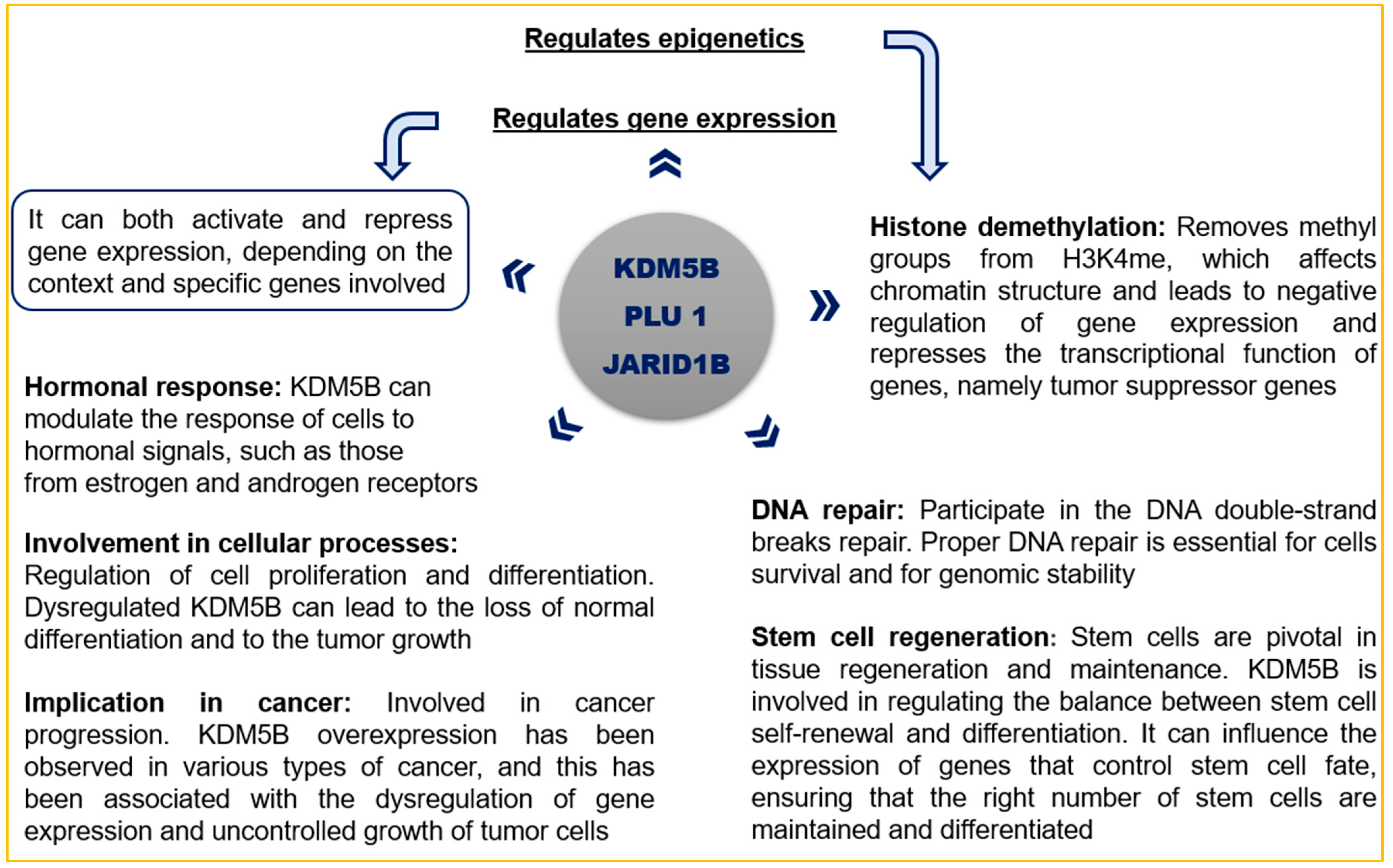 Pharmaceuticals 16 01603 sch001