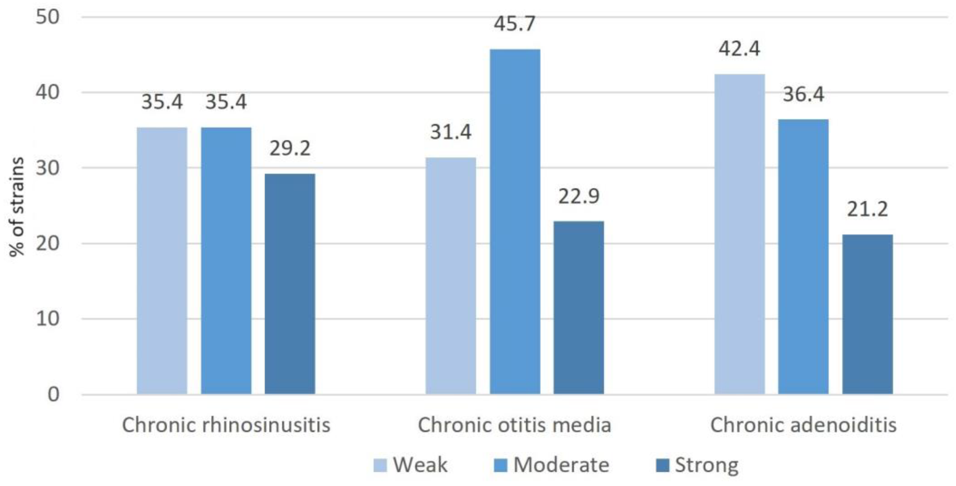 Pharmaceuticals 16 01604 g004