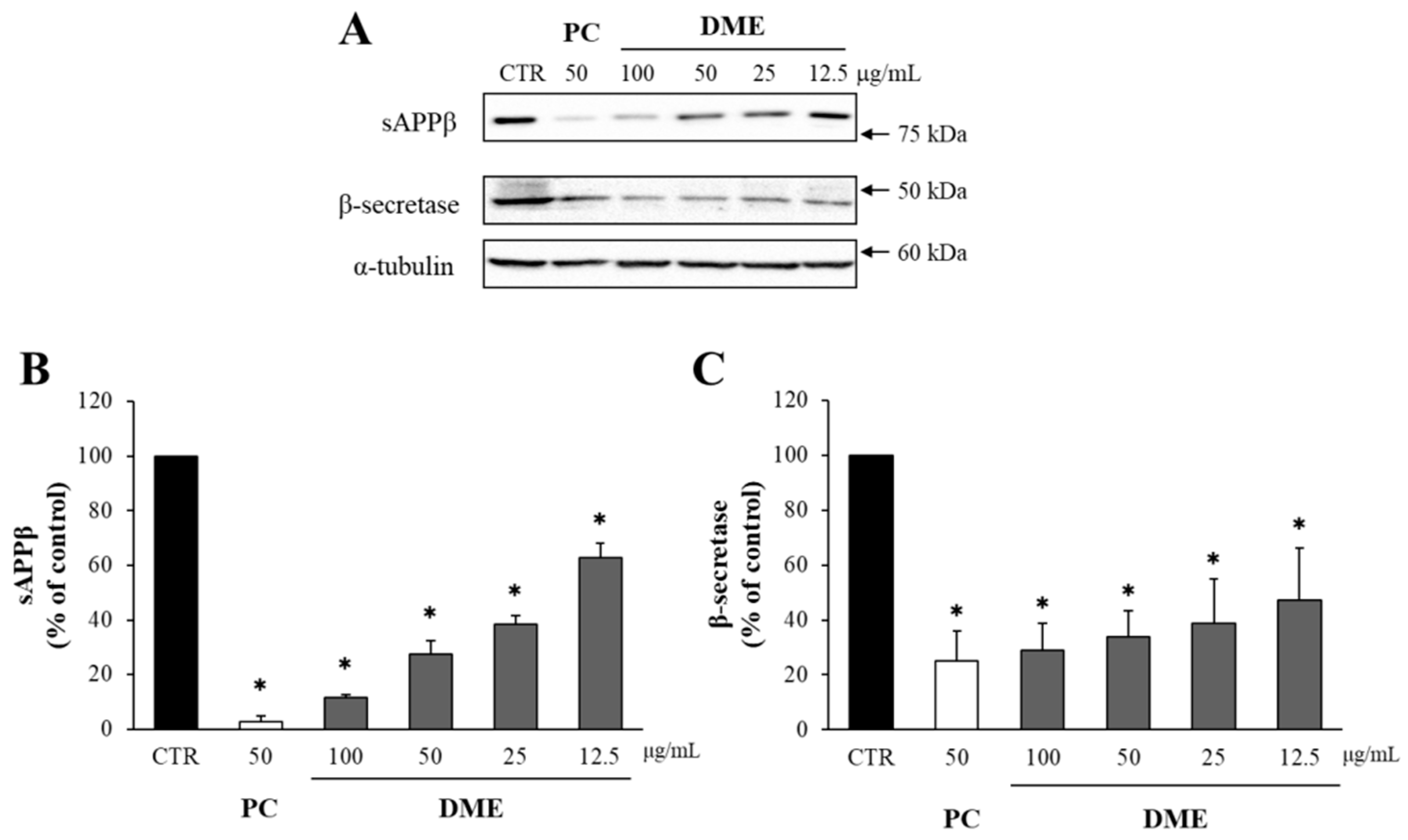 Pharmaceuticals 16 01606 g001 Pharmaceuticals 16 01606 g001