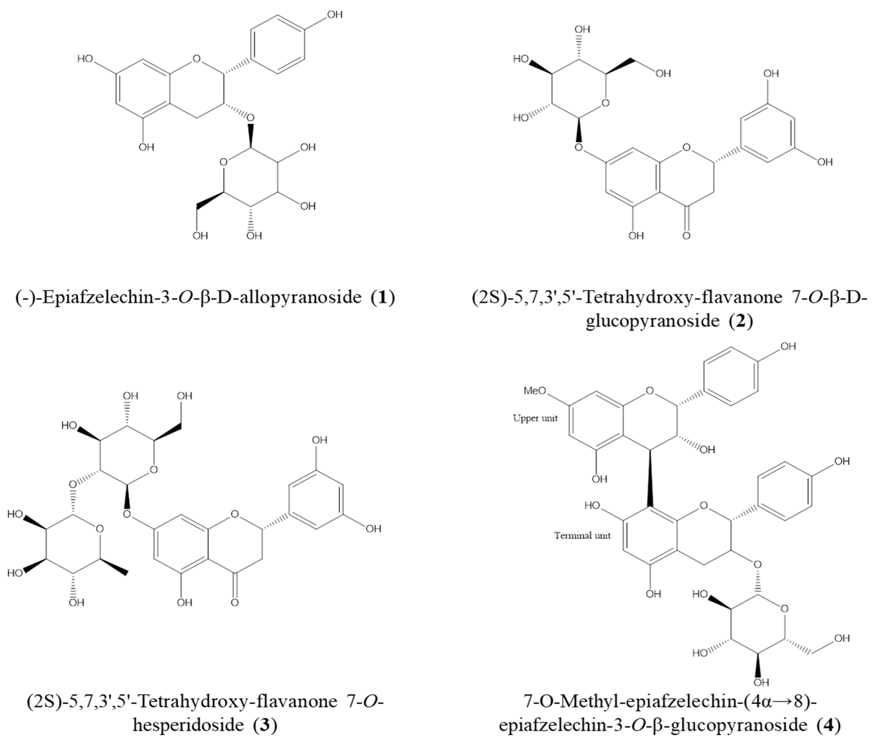 Pharmaceuticals 16 01606 g004 Pharmaceuticals 16 01606 g004